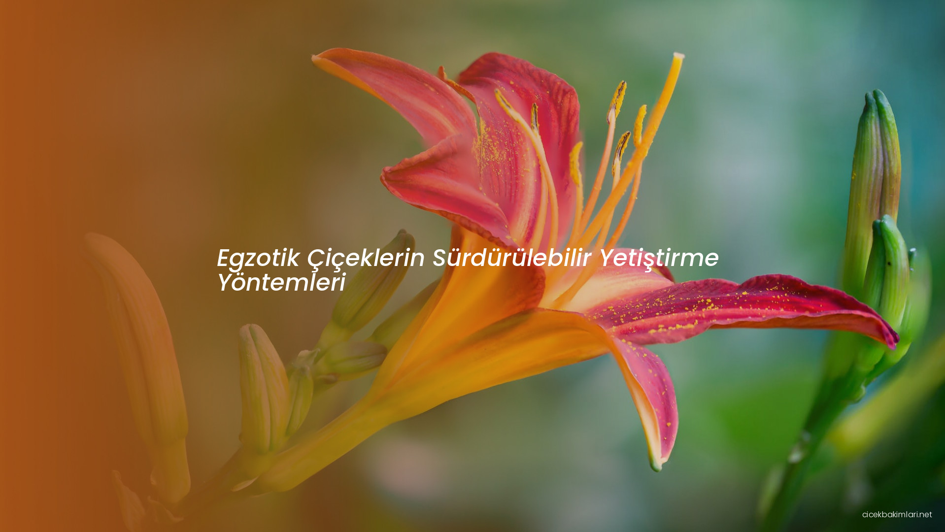 Egzotik Çiçeklerin Sürdürülebilir Yetiştirme Yöntemleri