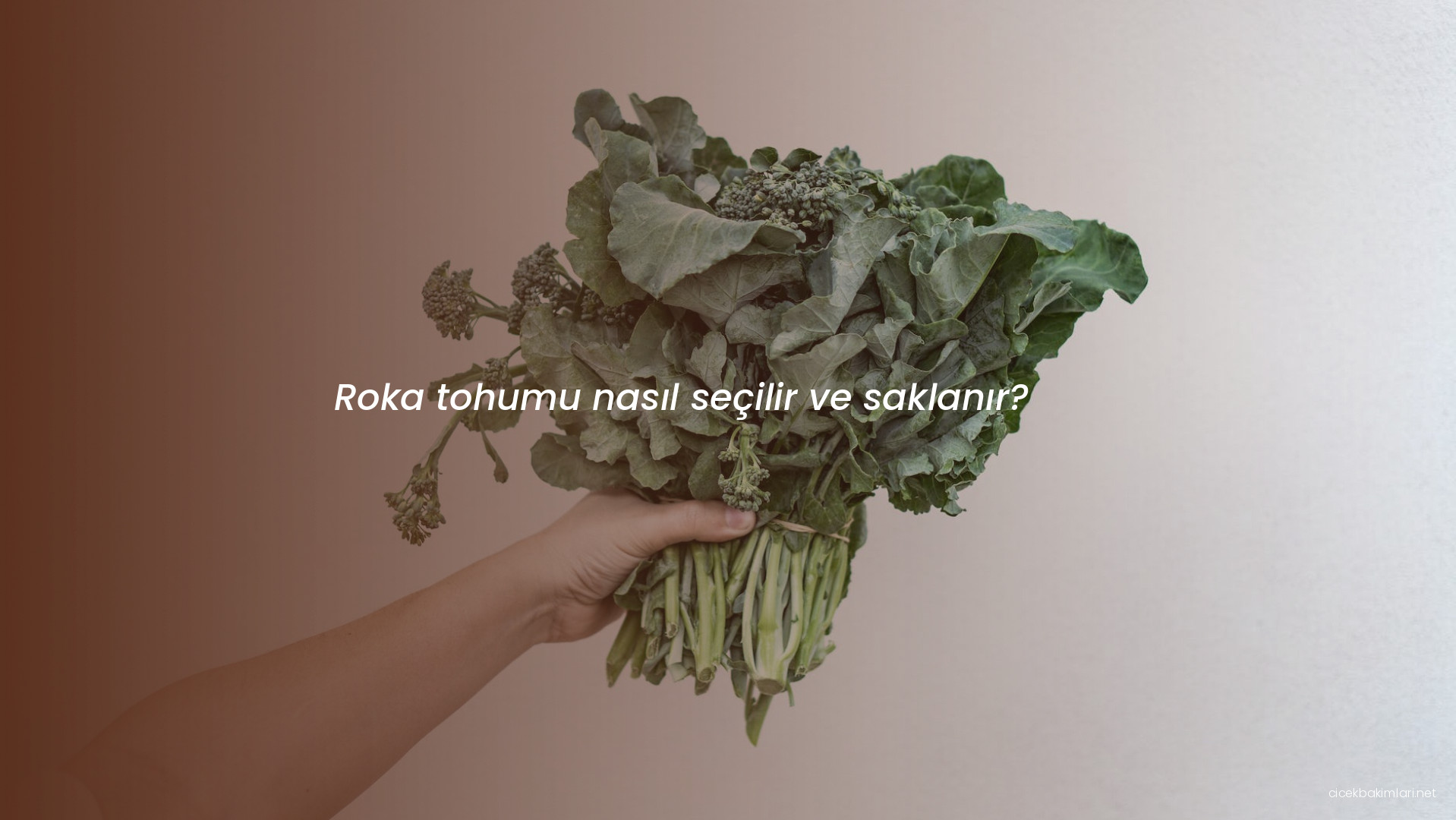 Roka tohumu nasıl seçilir ve saklanır?