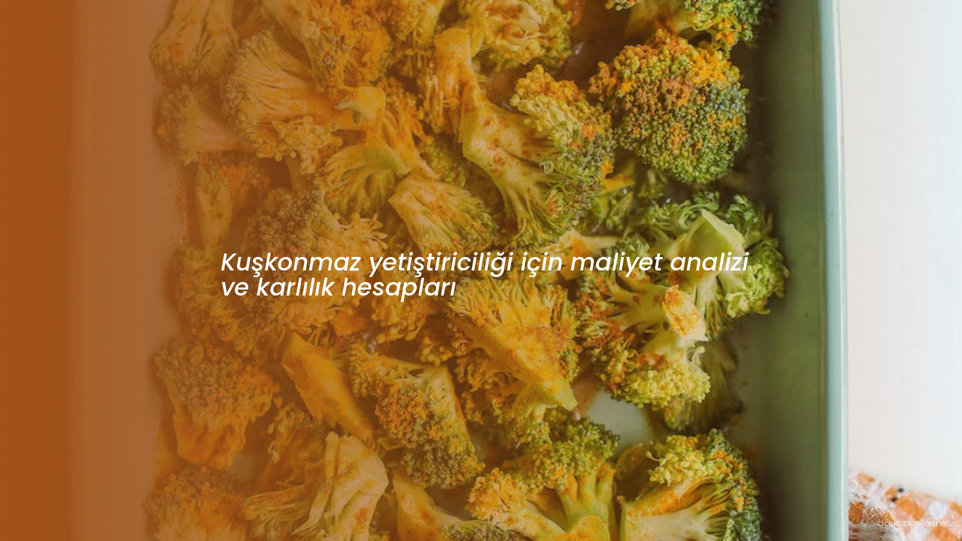 Kuşkonmaz yetiştiriciliği için maliyet analizi ve karlılık hesapları