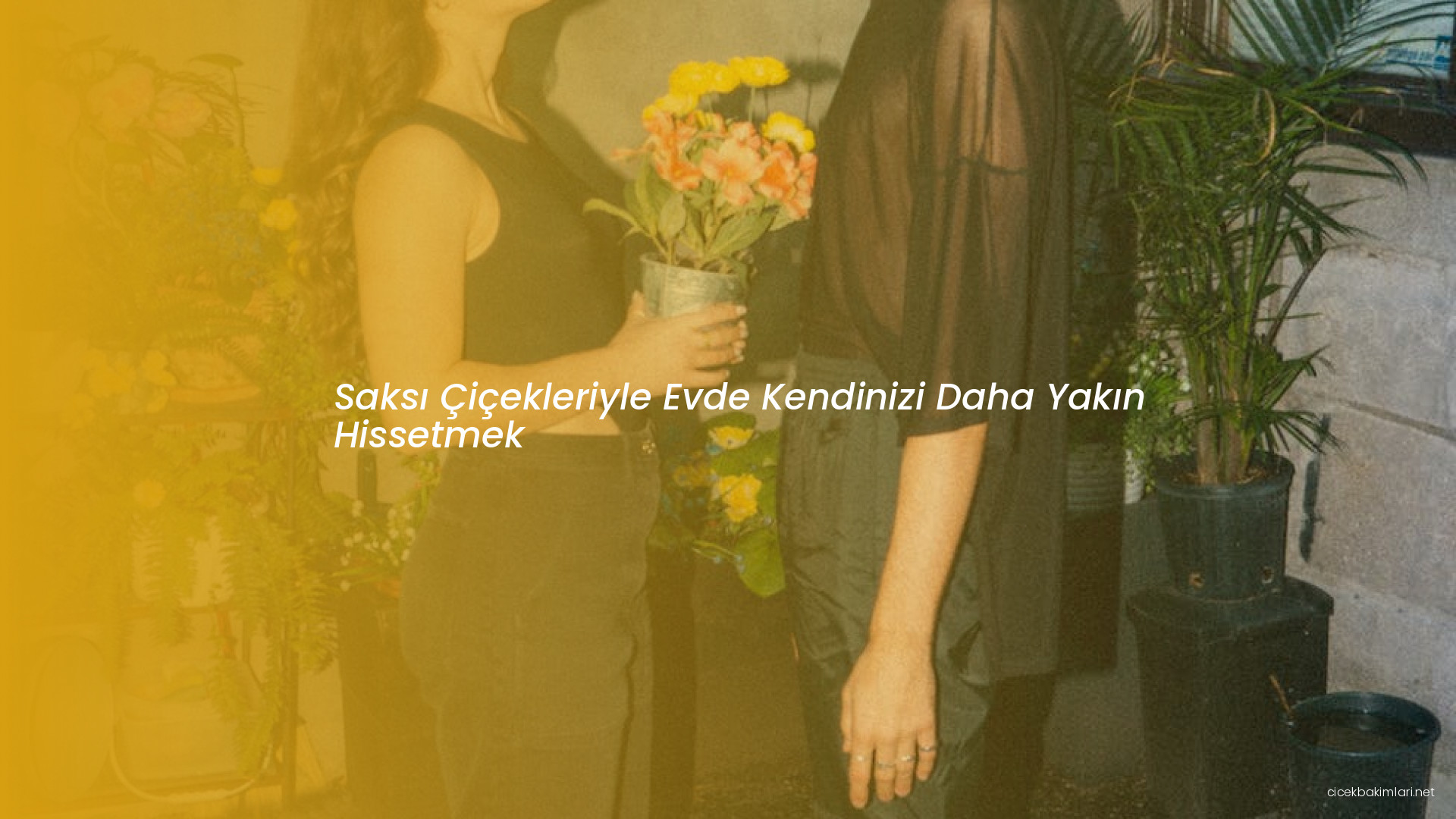 Saksı Çiçekleriyle Evde Kendinizi Daha Yakın Hissetmek