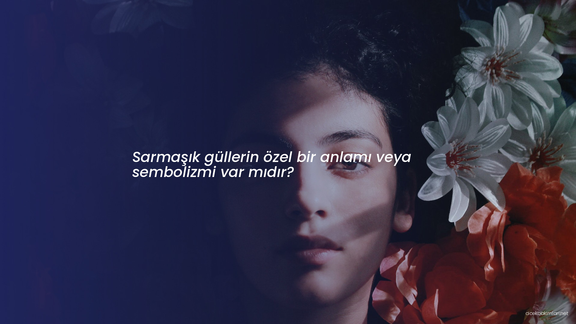 Sarmaşık güllerin özel bir anlamı veya sembolizmi var mıdır?