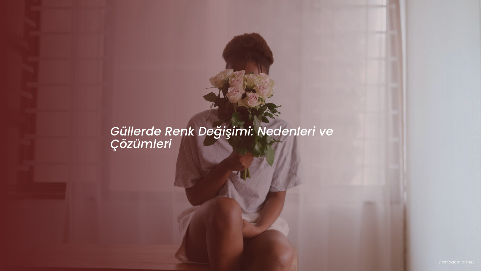 Güllerde Renk Değişimi: Nedenleri ve Çözümleri
