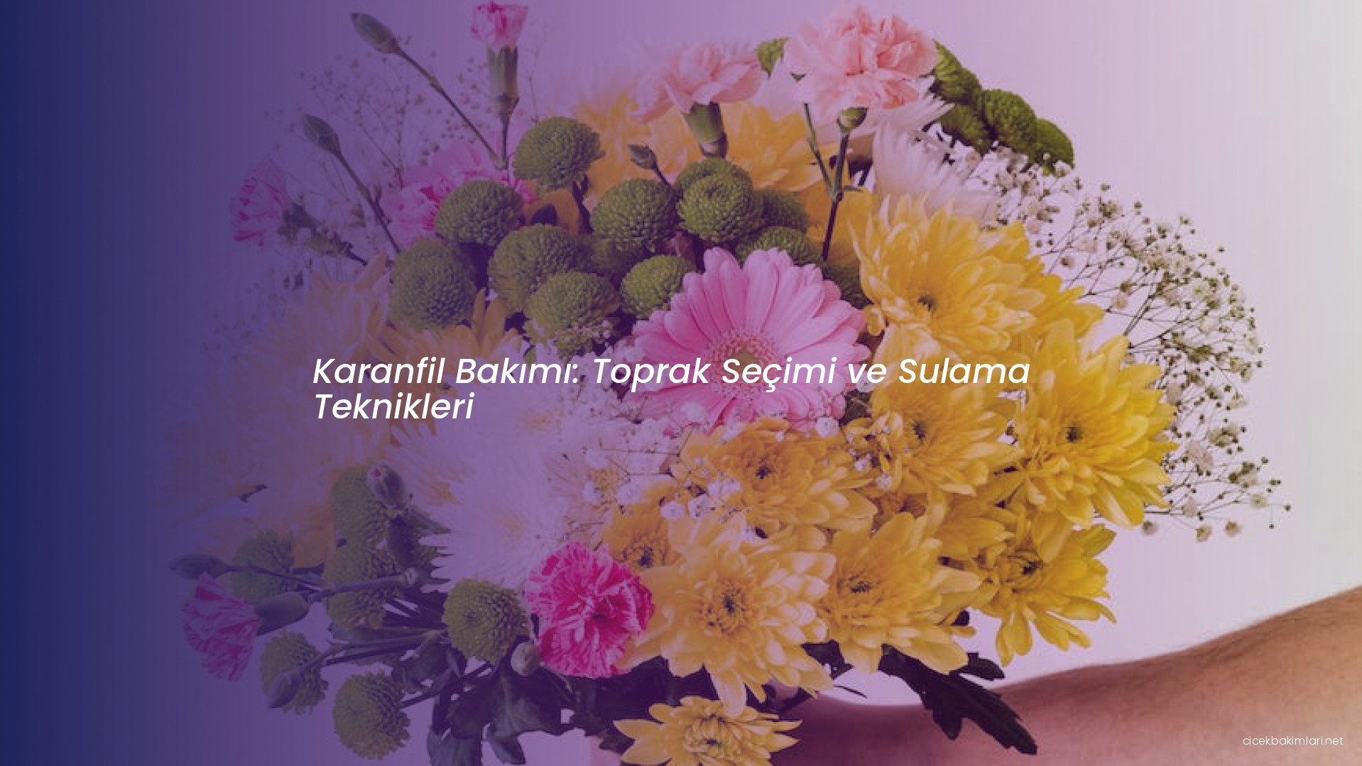 Karanfil Bakımı: Toprak Seçimi ve Sulama Teknikleri