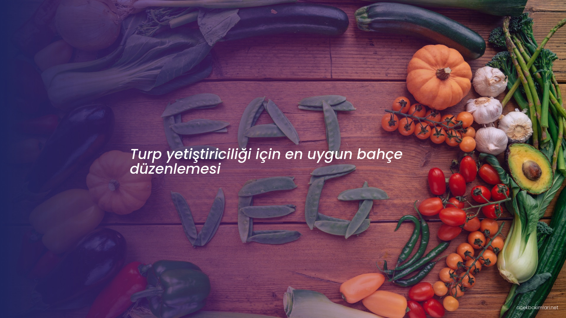 Turp yetiştiriciliği için en uygun bahçe düzenlemesi