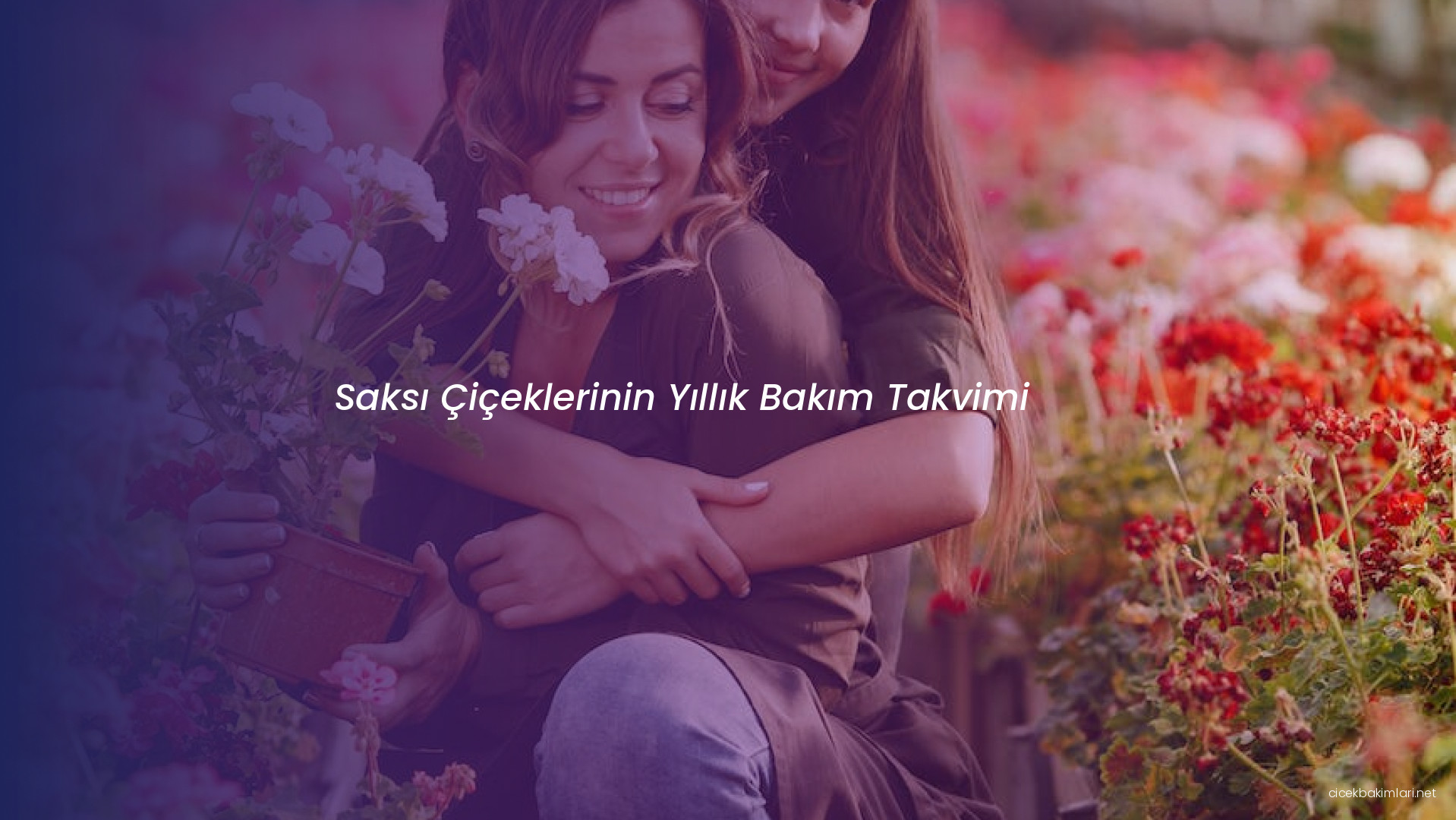 Saksı Çiçeklerinin Yıllık Bakım Takvimi