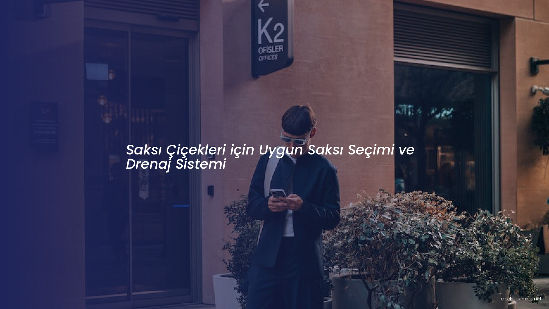 Saksı Çiçekleri için Uygun Saksı Seçimi ve Drenaj Sistemi