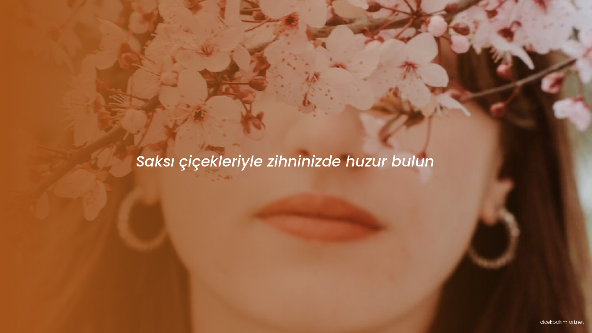 Saksı çiçekleriyle zihninizde huzur bulun