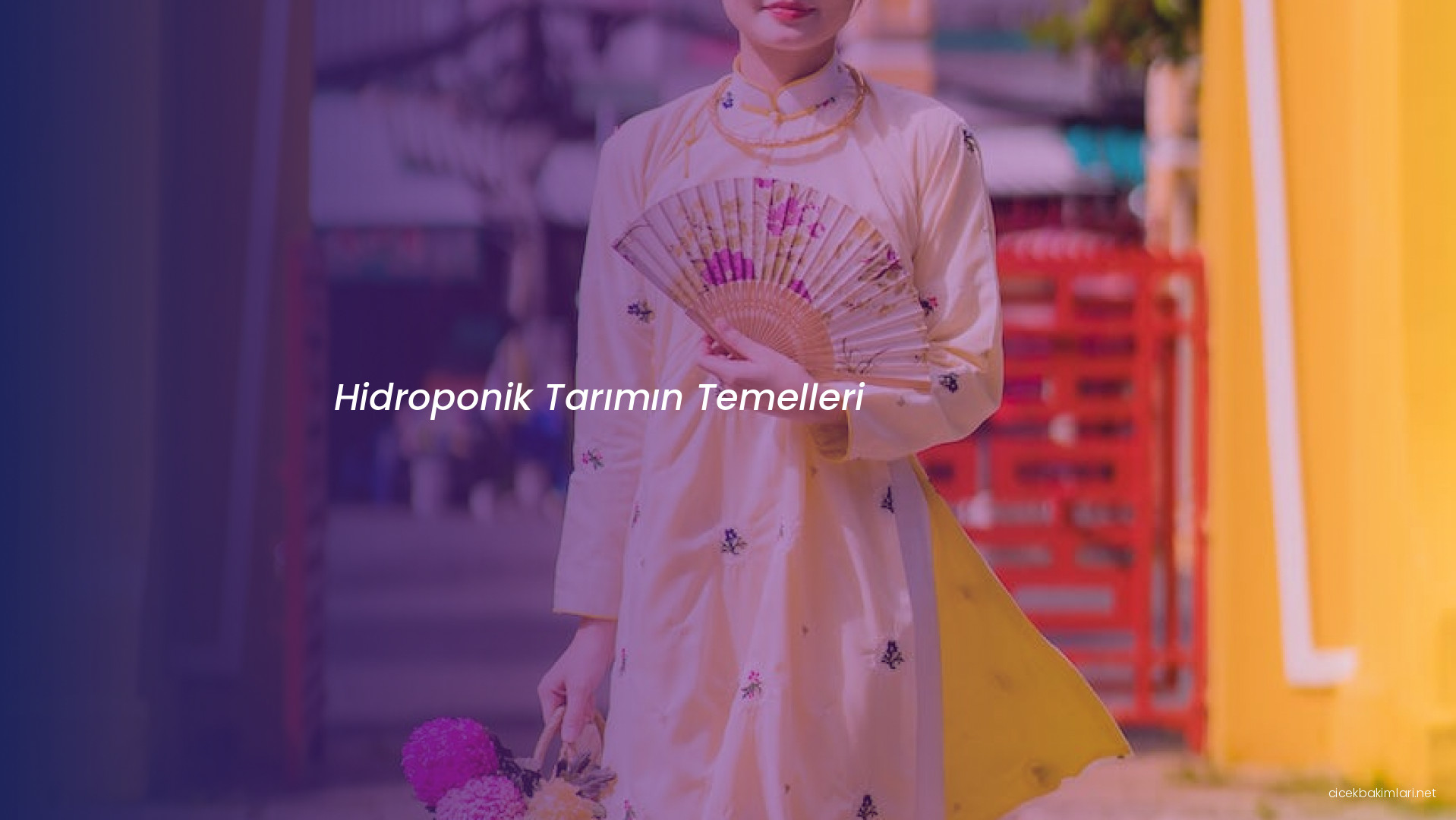 Hidroponik Tarımın Temelleri