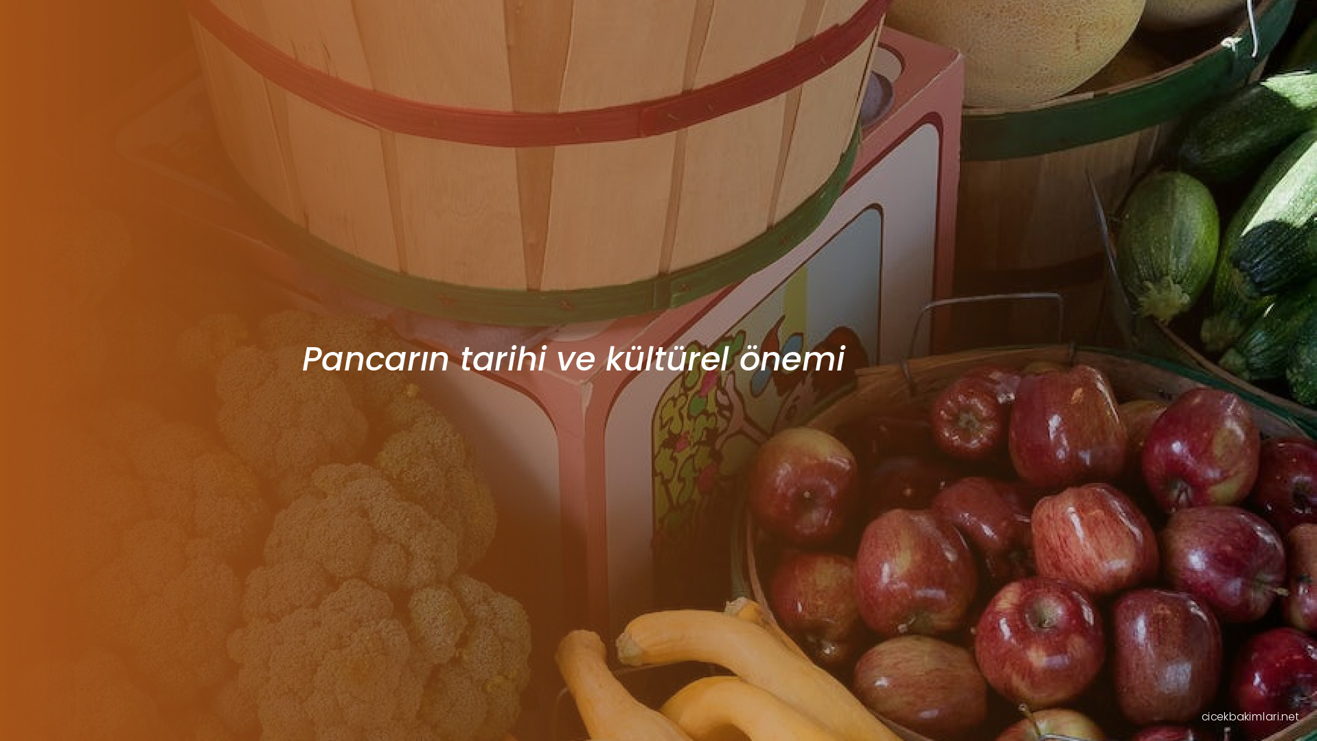 Pancarın tarihi ve kültürel önemi