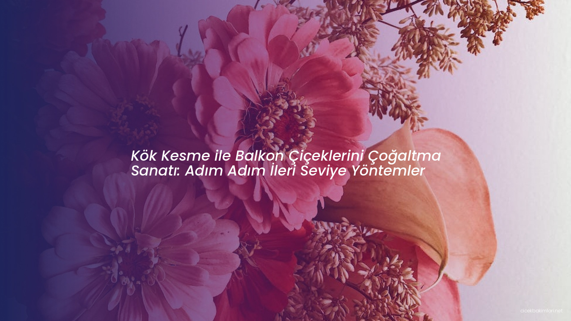 Kök Kesme ile Balkon Çiçeklerini Çoğaltma Sanatı: Adım Adım İleri Seviye Yöntemler