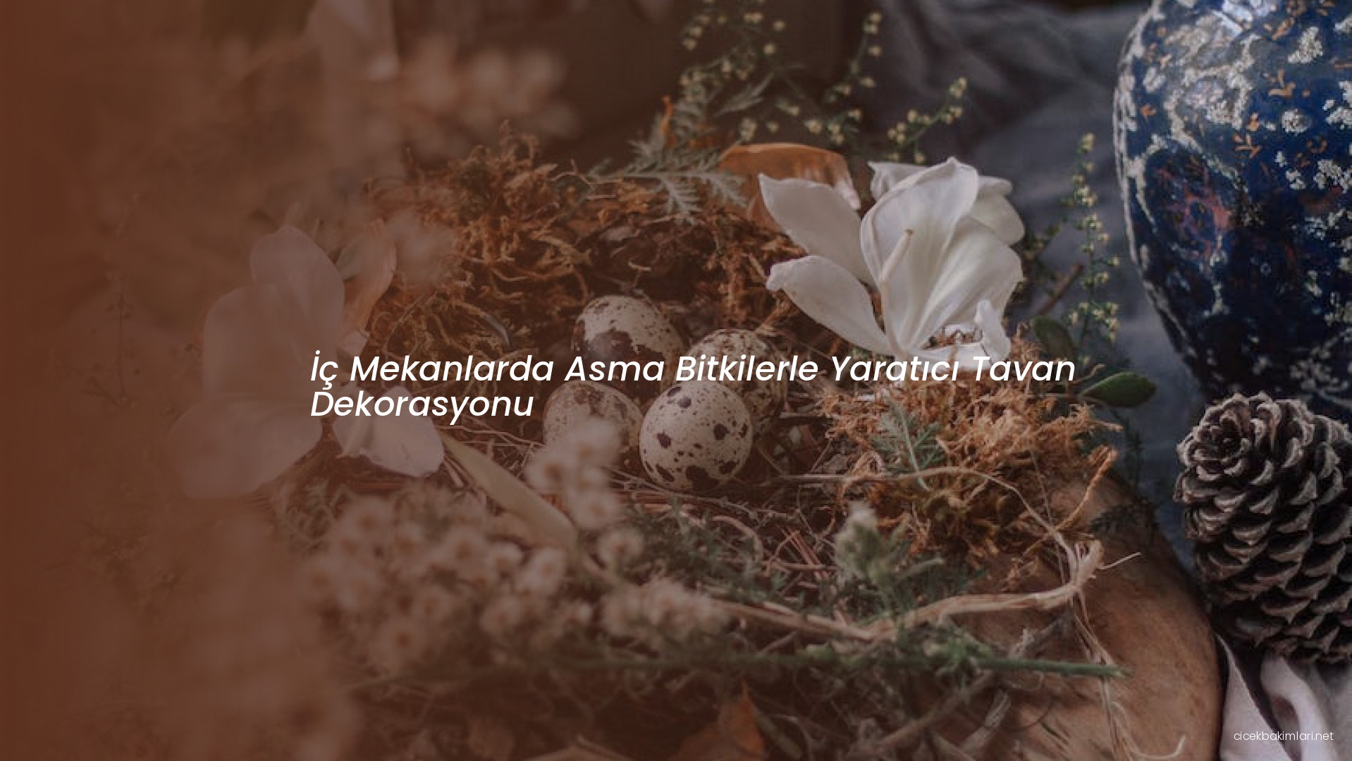 İç Mekanlarda Asma Bitkilerle Yaratıcı Tavan Dekorasyonu