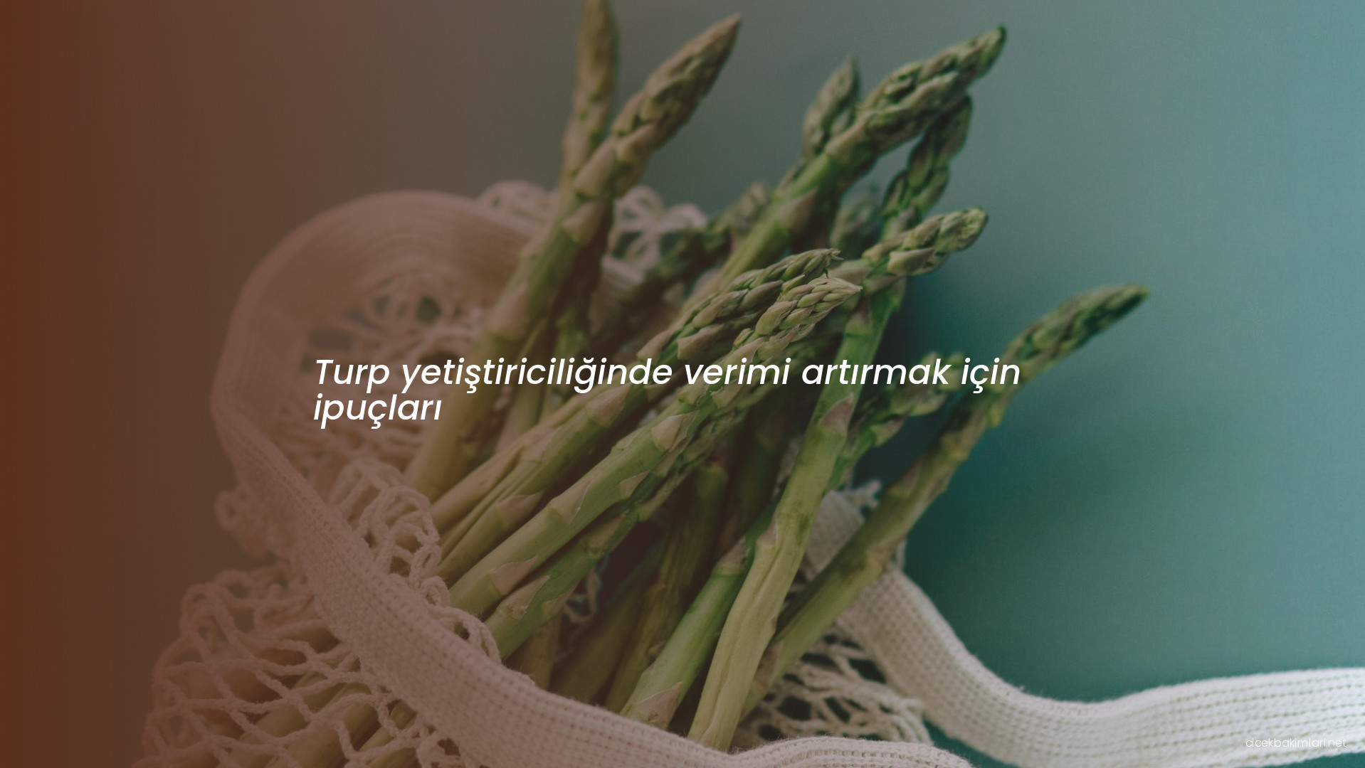 Turp yetiştiriciliğinde verimi artırmak için ipuçları