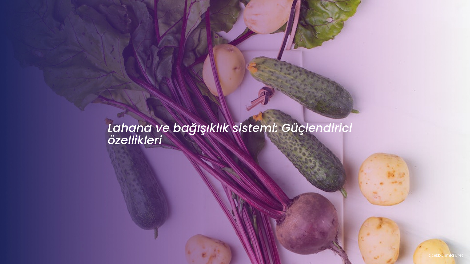 Lahana ve bağışıklık sistemi: Güçlendirici özellikleri
