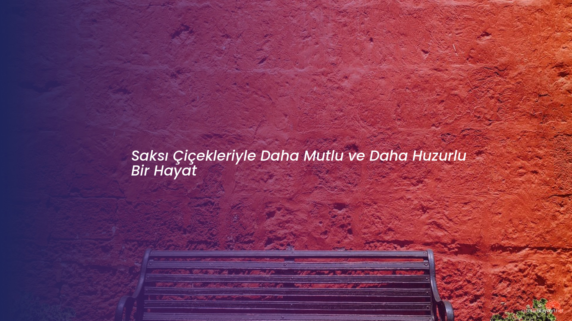 Saksı Çiçekleriyle Daha Mutlu ve Daha Huzurlu Bir Hayat