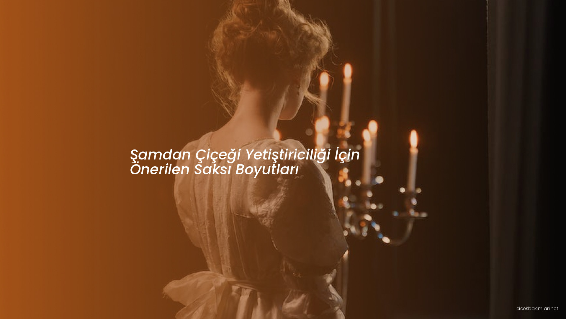 Şamdan Çiçeği Yetiştiriciliği İçin Önerilen Saksı Boyutları