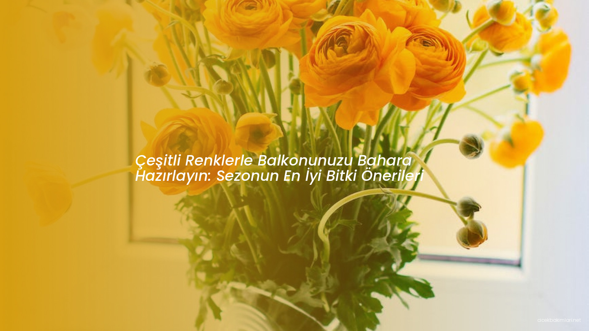 Çeşitli Renklerle Balkonunuzu Bahara Hazırlayın: Sezonun En İyi Bitki Önerileri