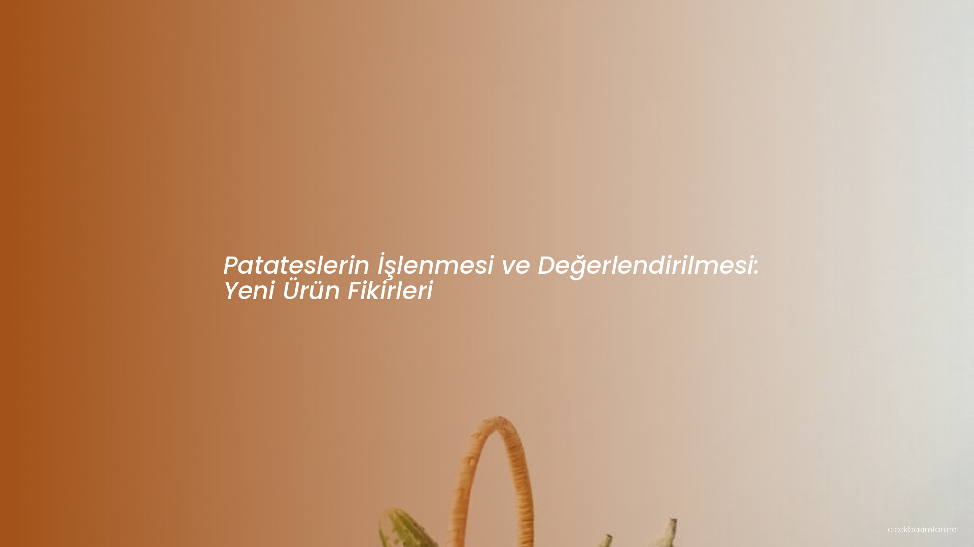 Patateslerin İşlenmesi ve Değerlendirilmesi: Yeni Ürün Fikirleri