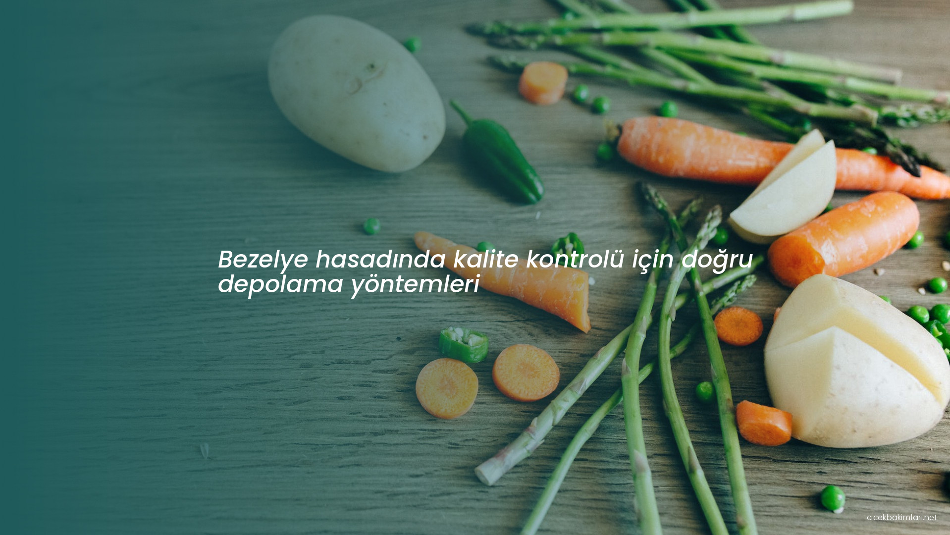 Bezelye hasadında kalite kontrolü için doğru depolama yöntemleri