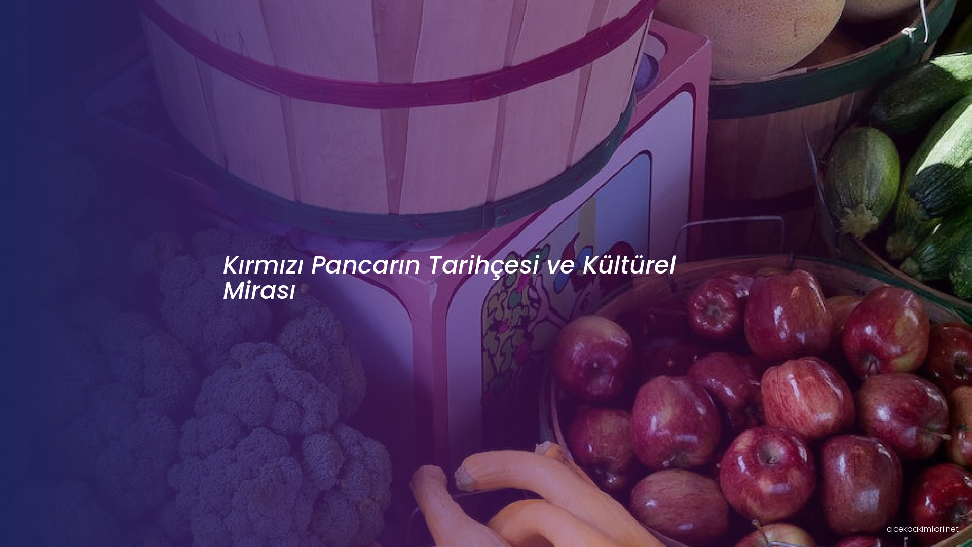 Kırmızı Pancarın Tarihçesi ve Kültürel Mirası