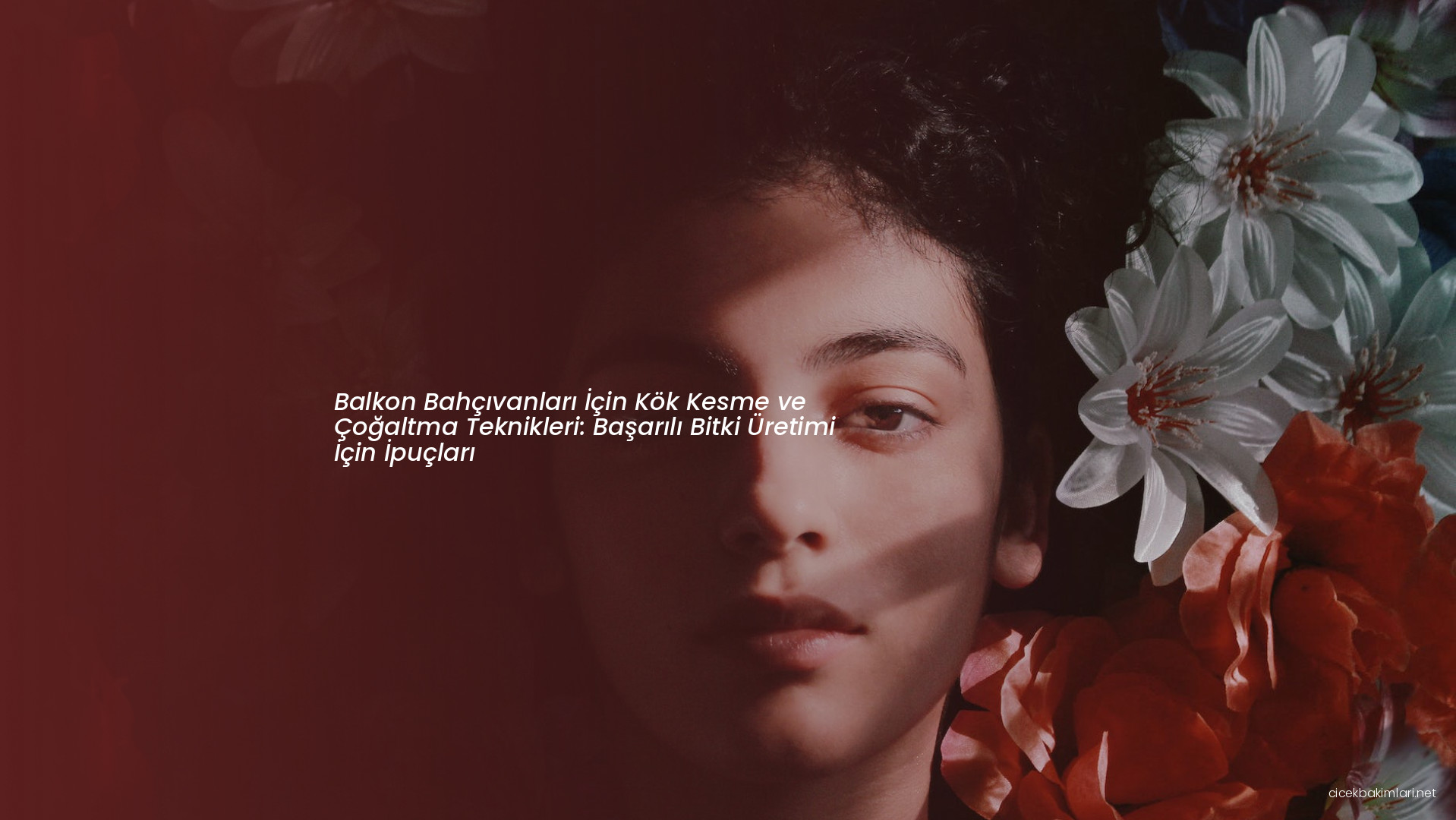 Balkon Bahçıvanları İçin Kök Kesme ve Çoğaltma Teknikleri: Başarılı Bitki Üretimi İçin İpuçları