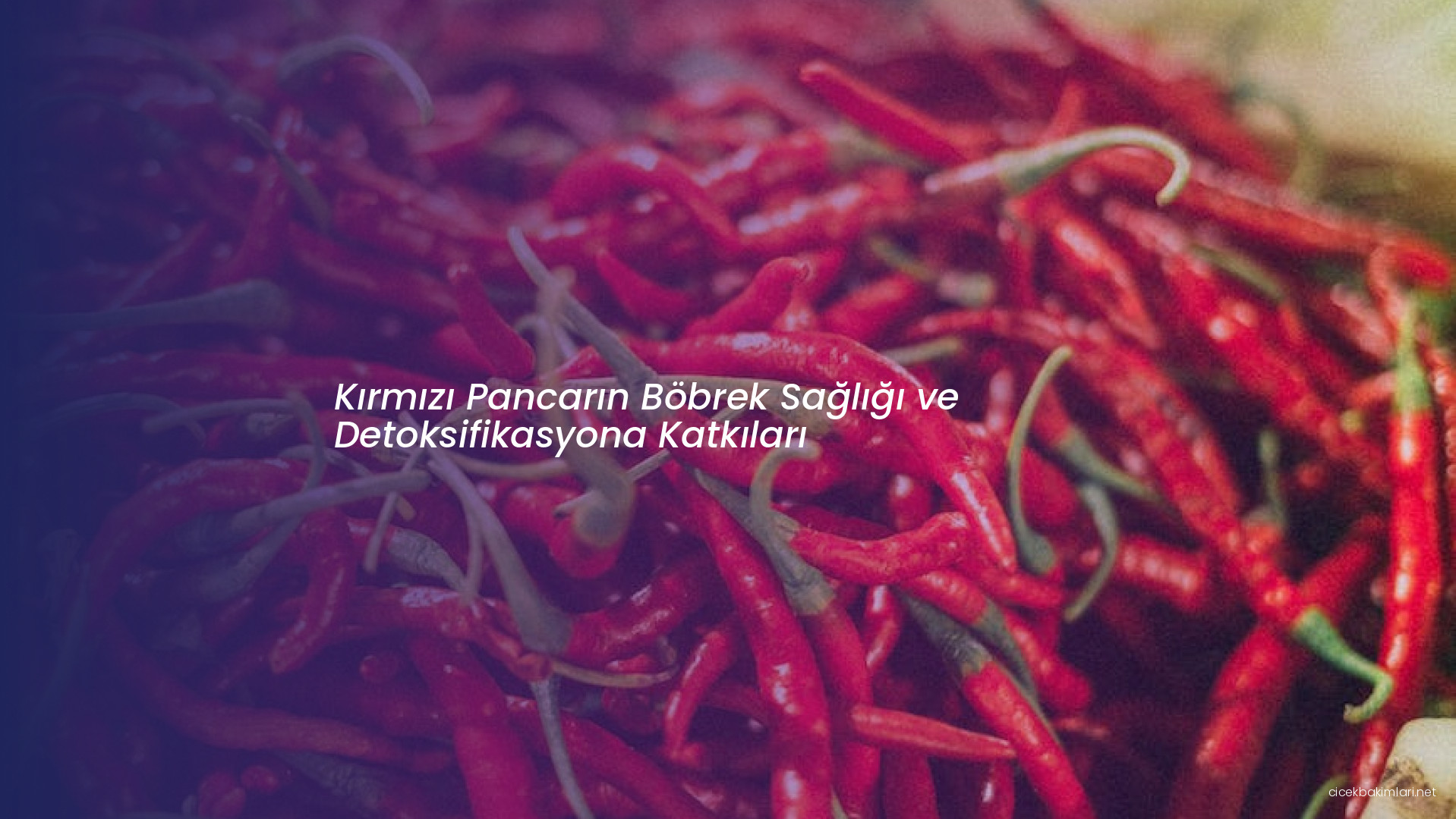 Kırmızı Pancarın Böbrek Sağlığı ve Detoksifikasyona Katkıları