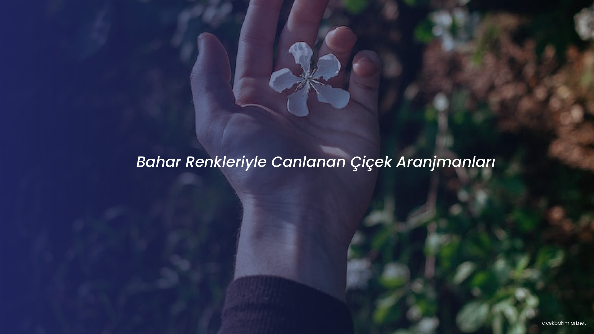 Bahar Renkleriyle Canlanan Çiçek Aranjmanları