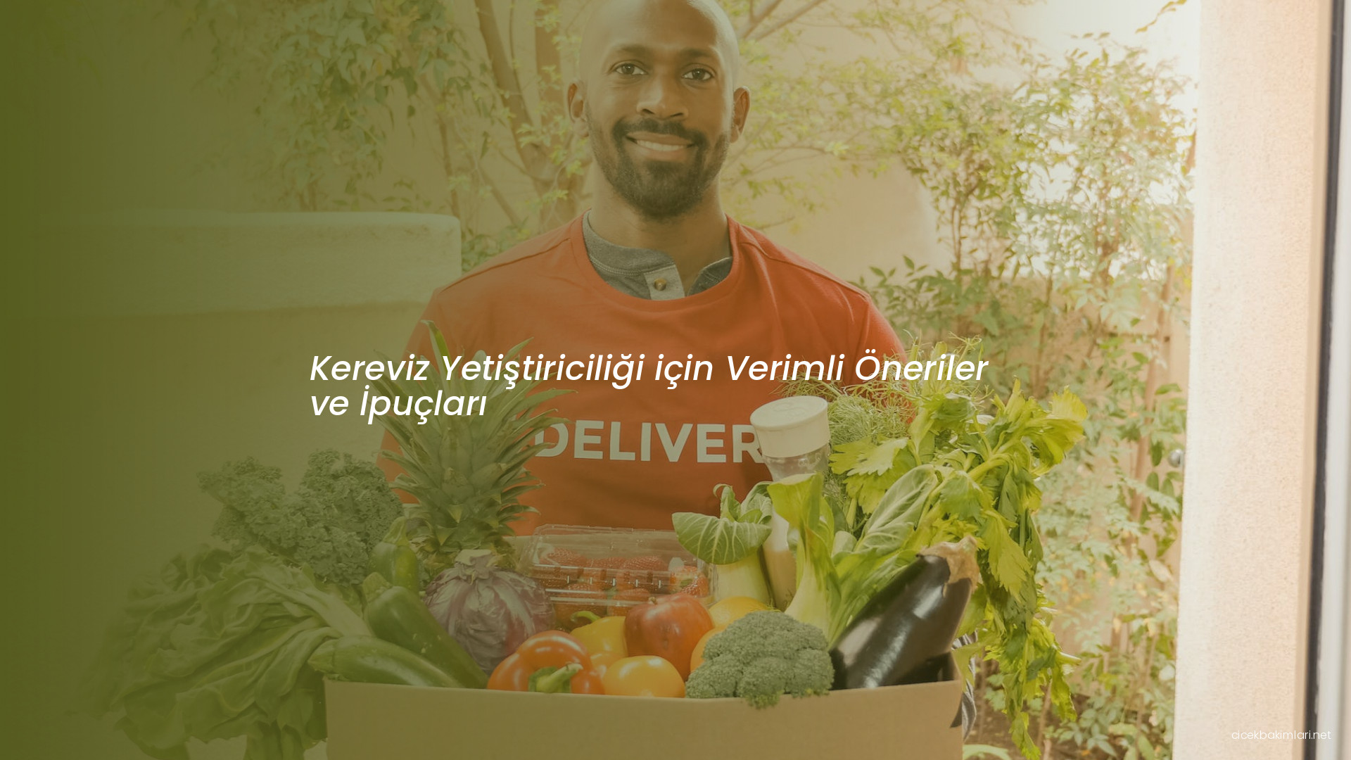Kereviz Yetiştiriciliği için Verimli Öneriler ve İpuçları