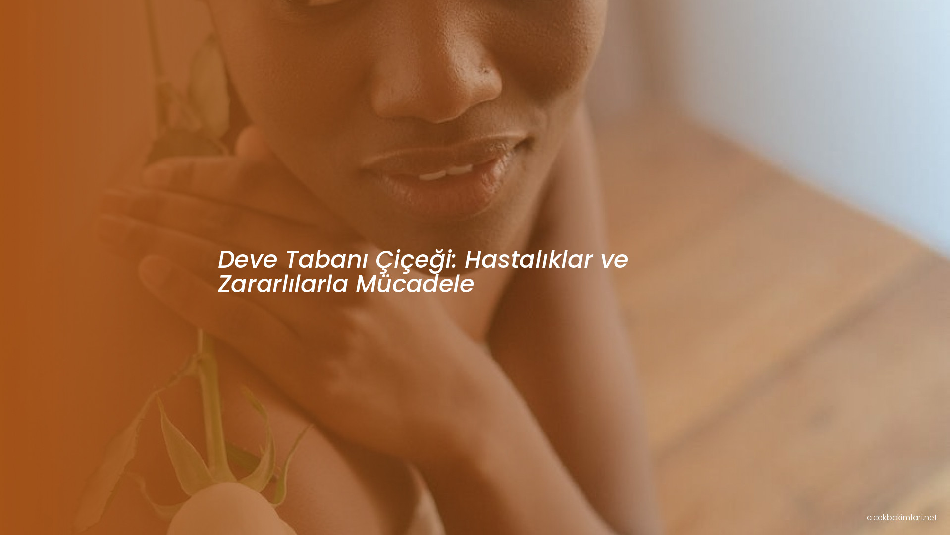 Deve Tabanı Çiçeği: Hastalıklar ve Zararlılarla Mücadele