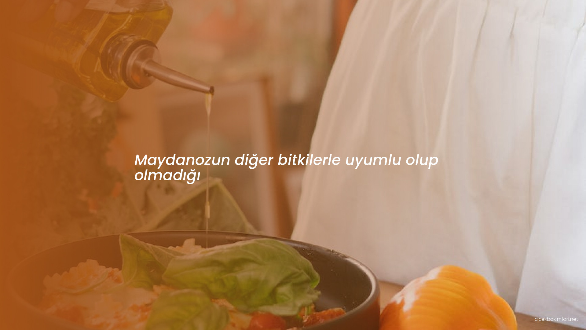 Maydanozun diğer bitkilerle uyumlu olup olmadığı