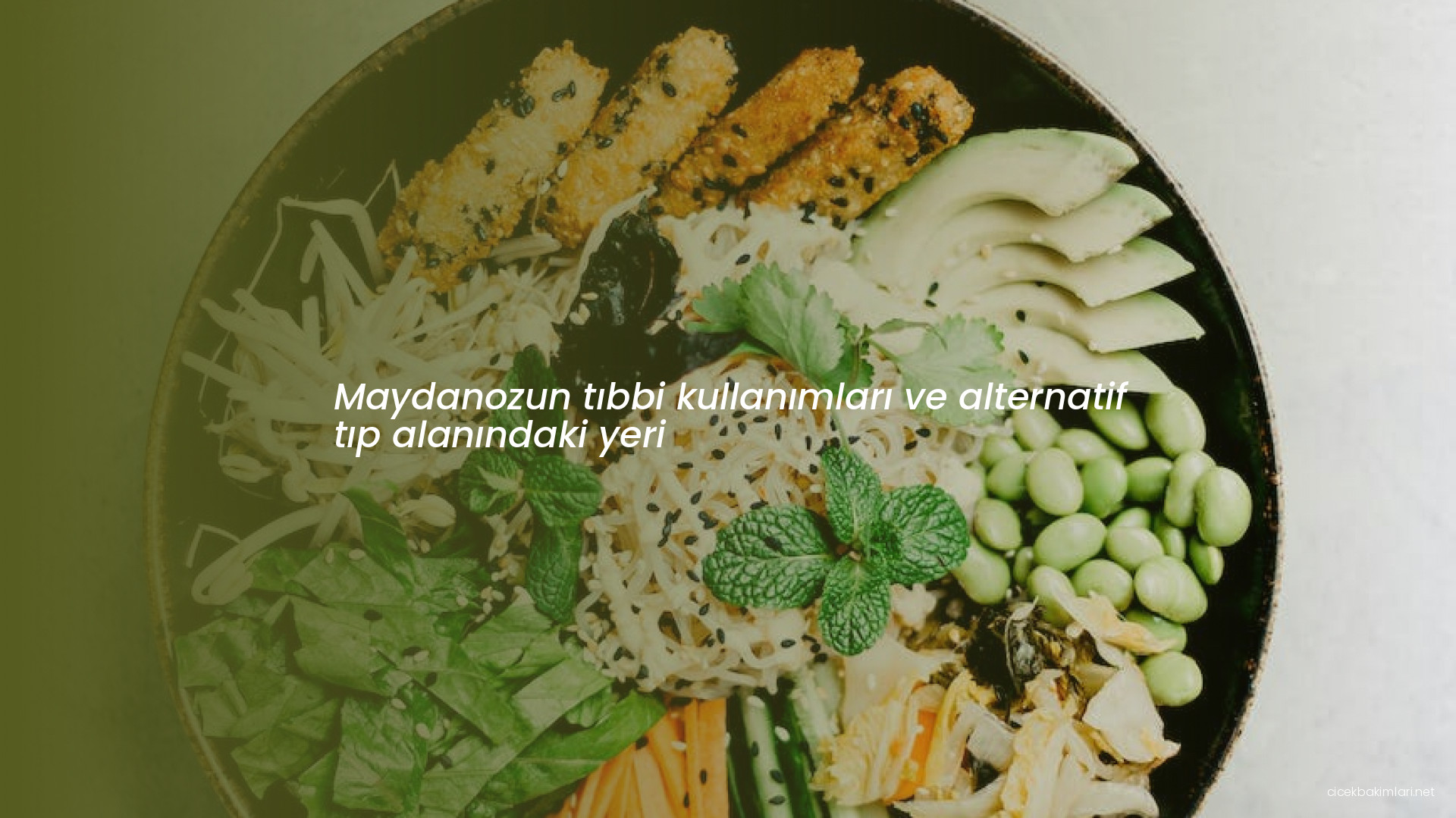 Maydanozun tıbbi kullanımları ve alternatif tıp alanındaki yeri