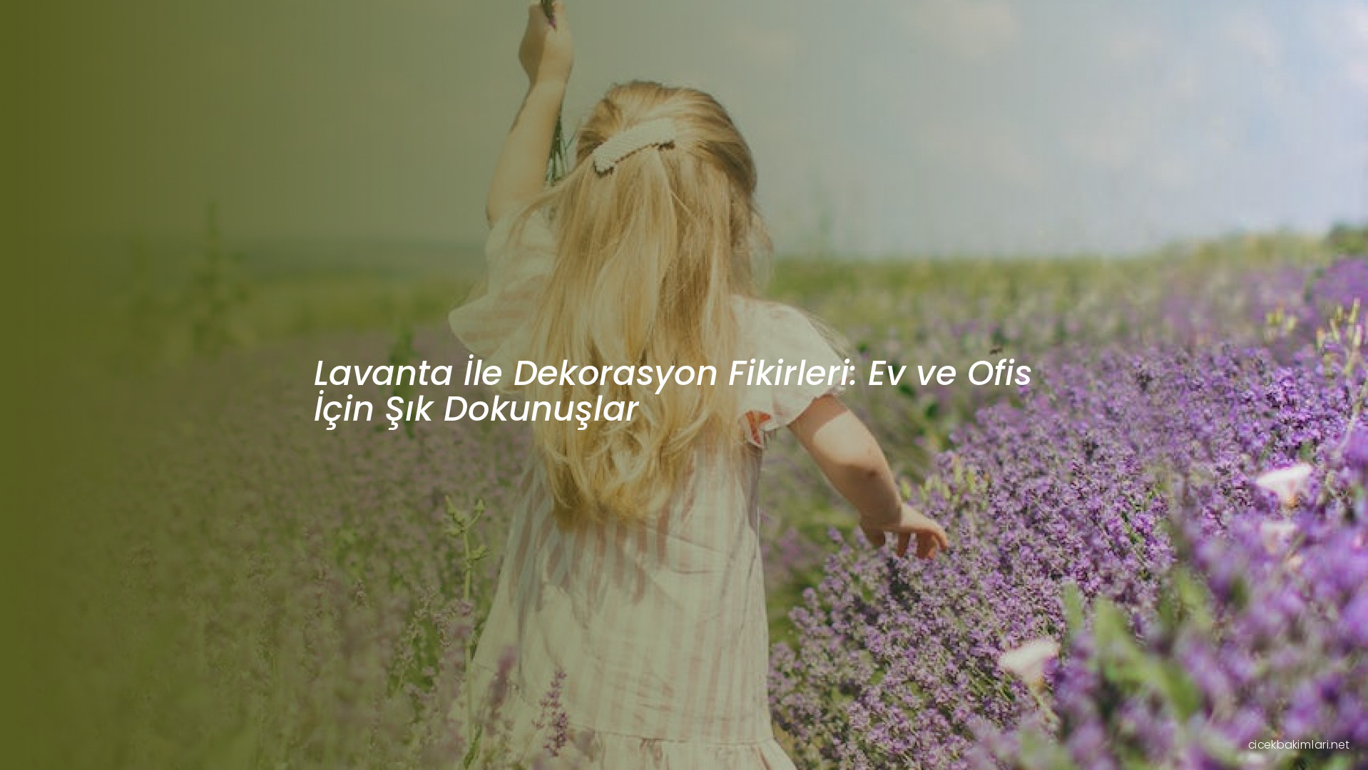 Lavanta İle Dekorasyon Fikirleri: Ev ve Ofis İçin Şık Dokunuşlar