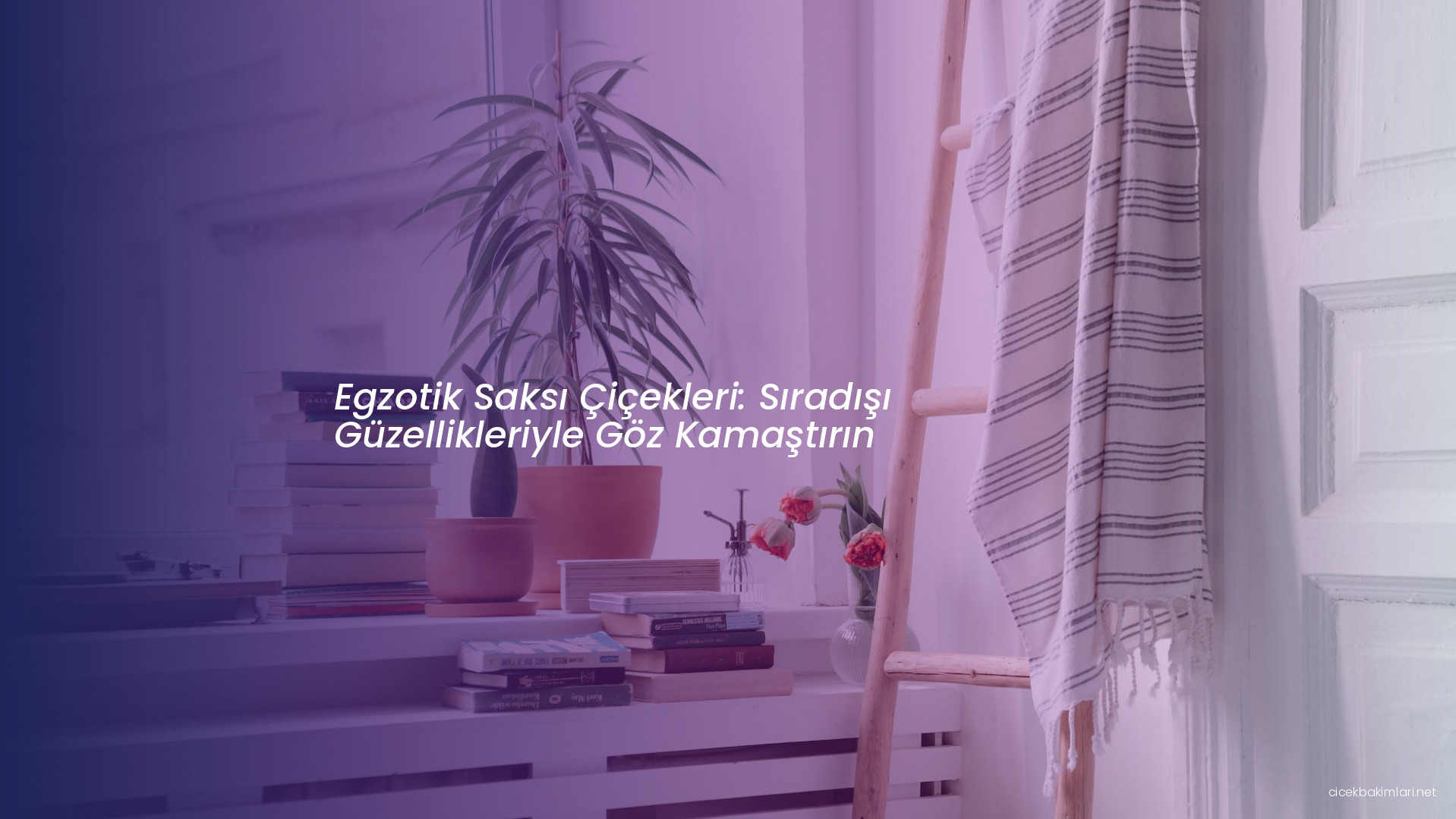 Egzotik Saksı Çiçekleri: Sıradışı Güzellikleriyle Göz Kamaştırın