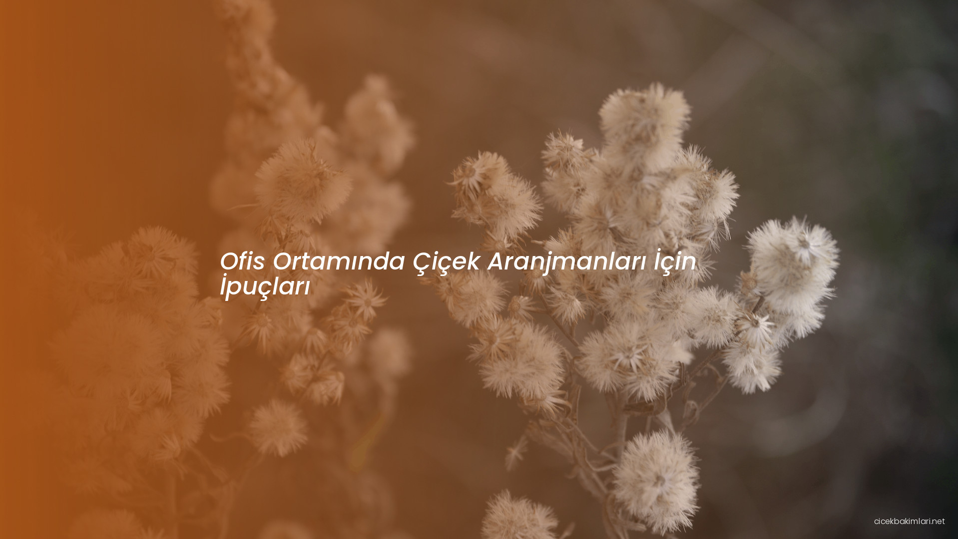 Ofis Ortamında Çiçek Aranjmanları İçin İpuçları