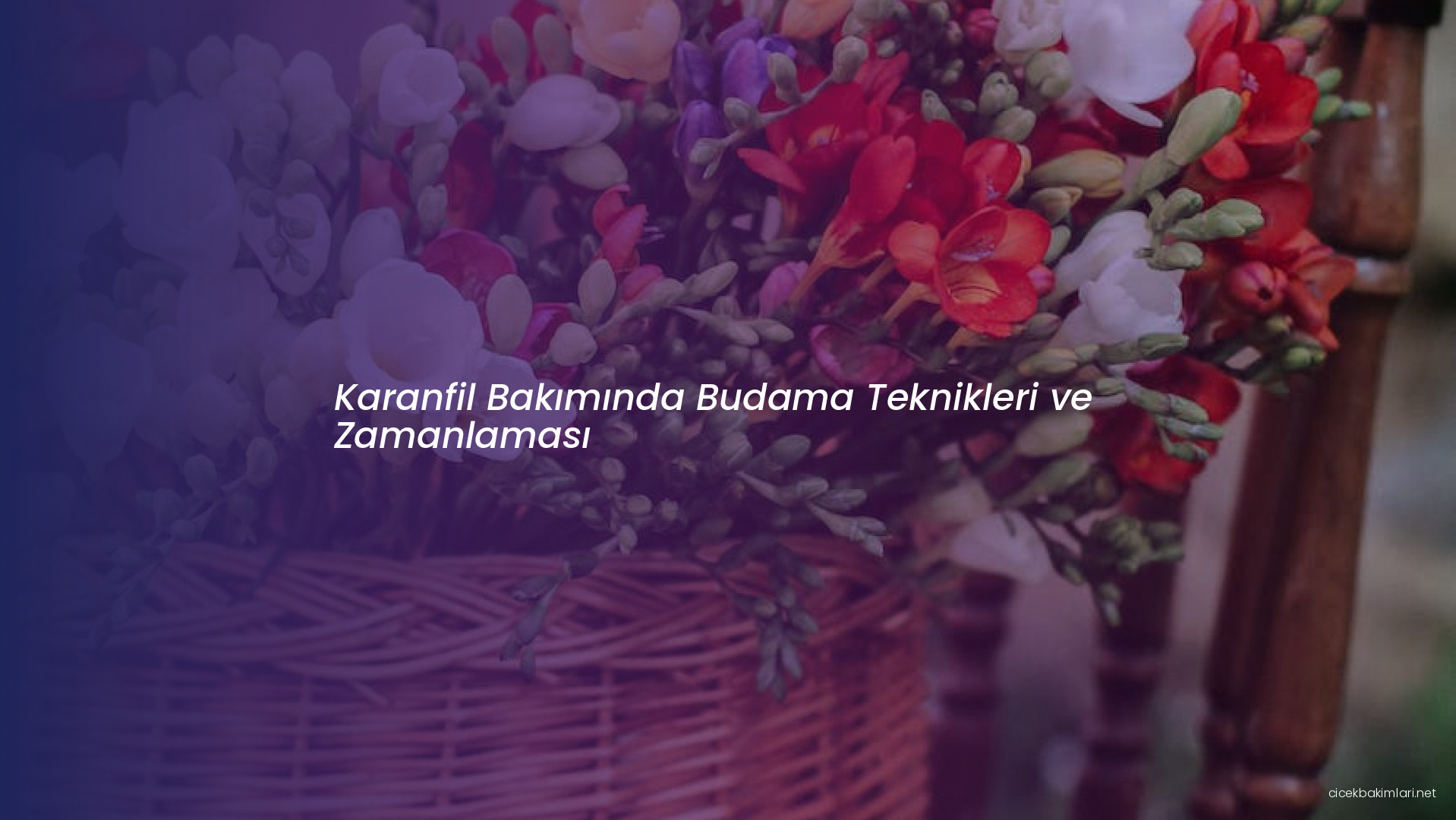 Karanfil Bakımında Budama Teknikleri ve Zamanlaması