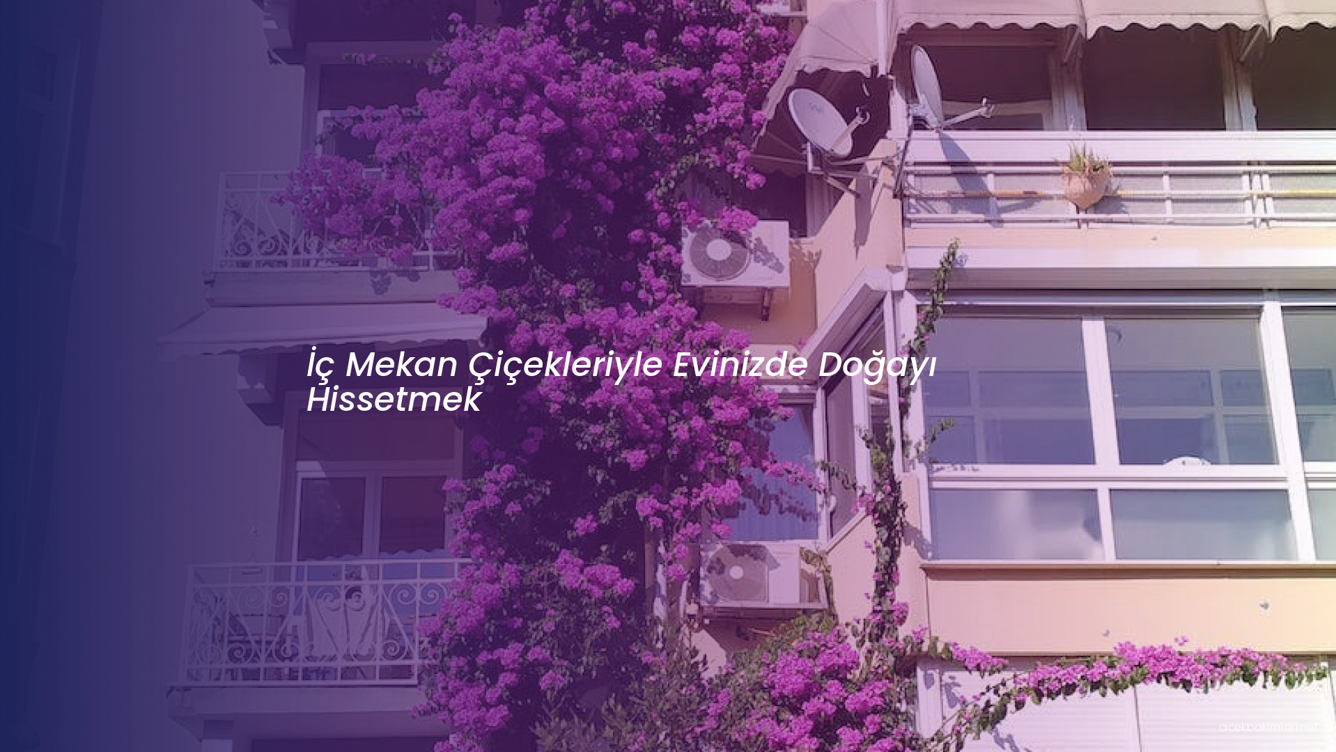 İç Mekan Çiçekleriyle Evinizde Doğayı Hissetmek