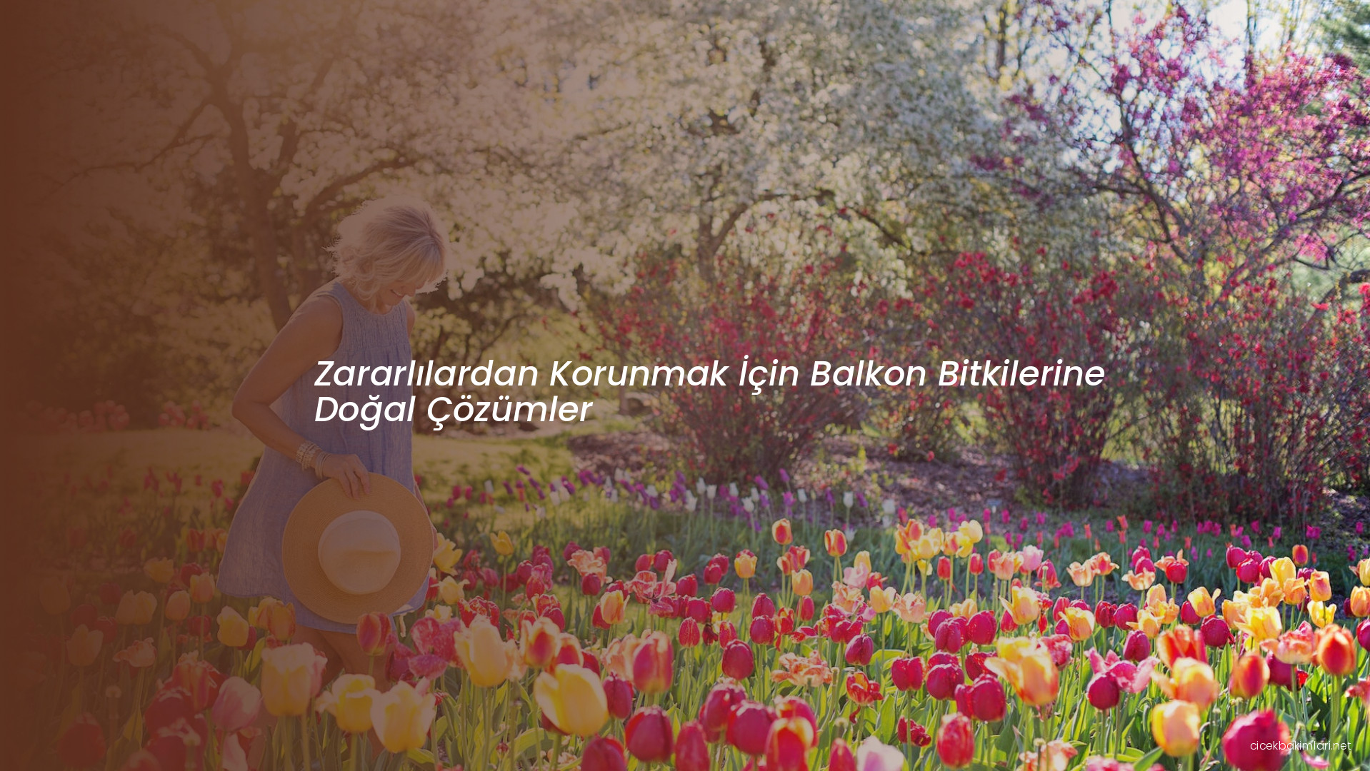 Zararlılardan Korunmak İçin Balkon Bitkilerine Doğal Çözümler