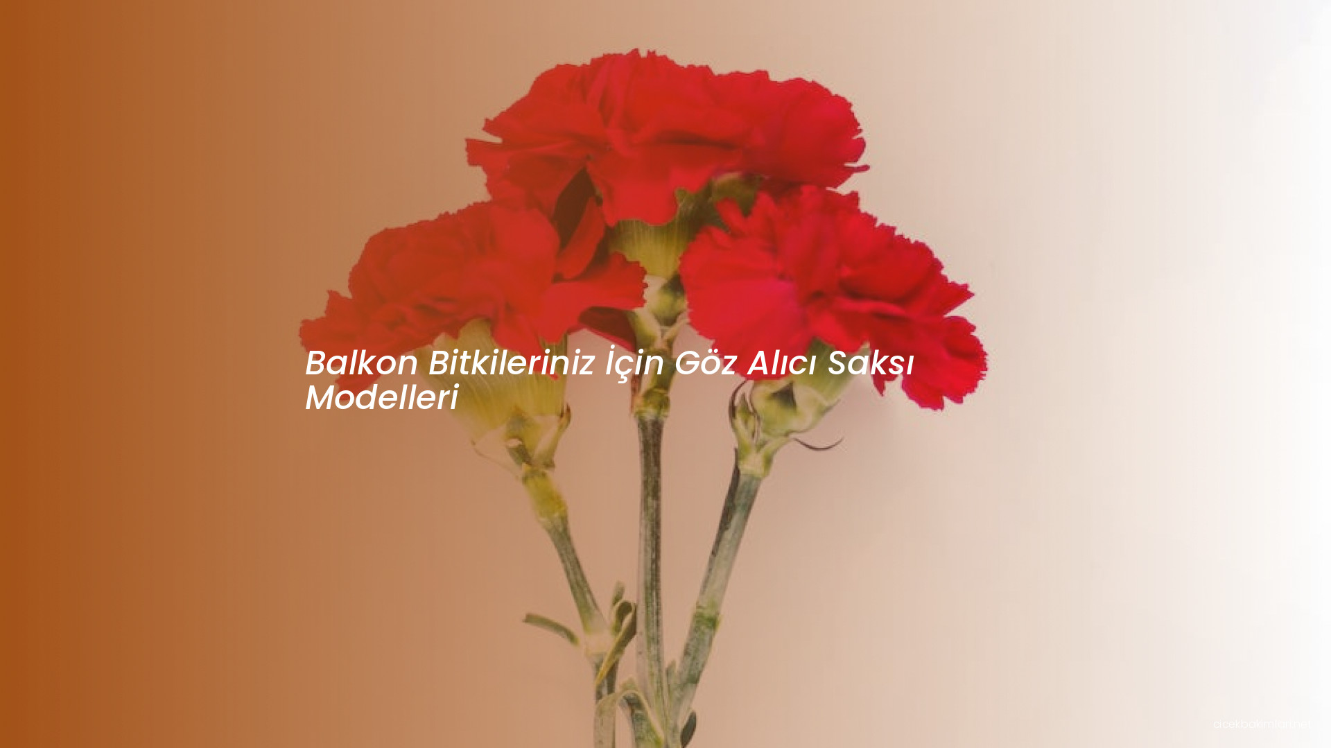 Balkon Bitkileriniz İçin Göz Alıcı Saksı Modelleri