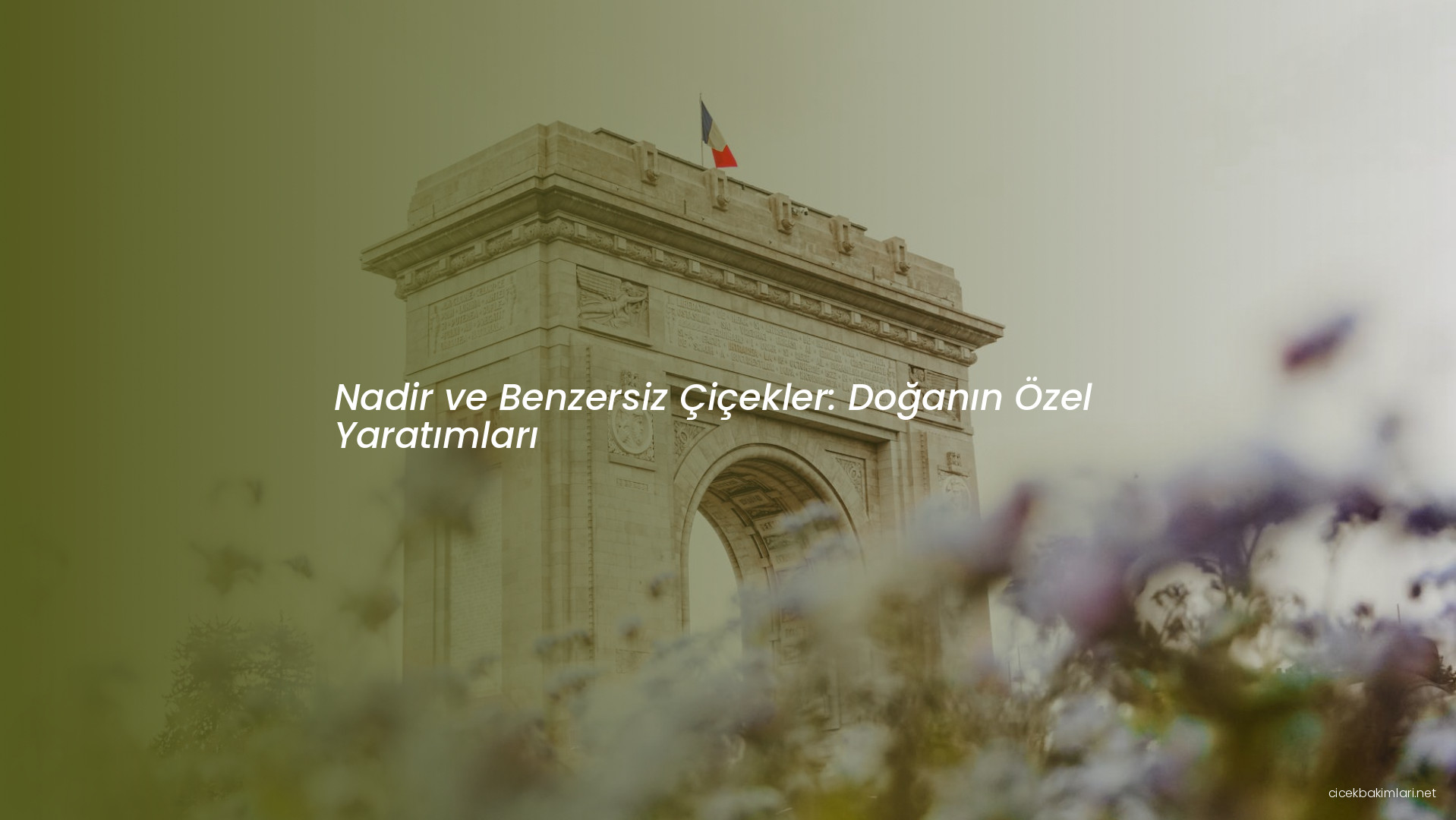 Nadir ve Benzersiz Çiçekler: Doğanın Özel Yaratımları