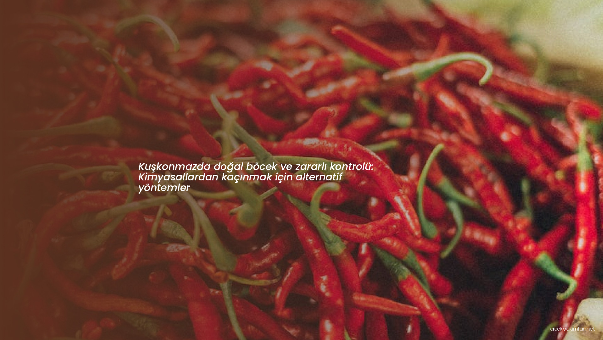 Kuşkonmazda doğal böcek ve zararlı kontrolü: Kimyasallardan kaçınmak için alternatif yöntemler