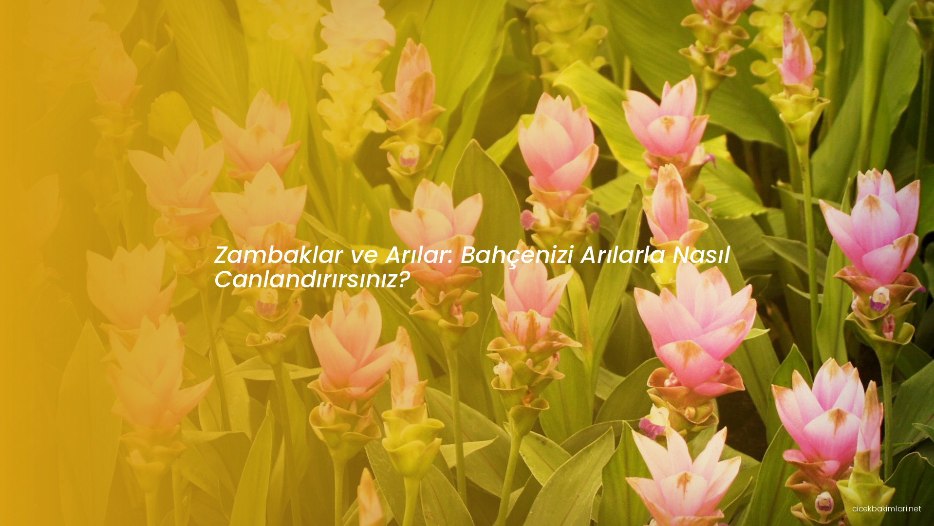 Zambaklar ve Arılar: Bahçenizi Arılarla Nasıl Canlandırırsınız?