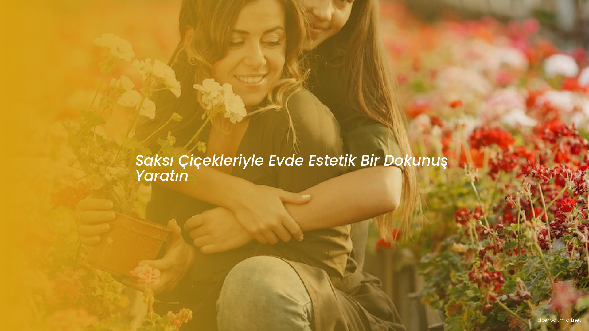 Saksı Çiçekleriyle Evde Estetik Bir Dokunuş Yaratın