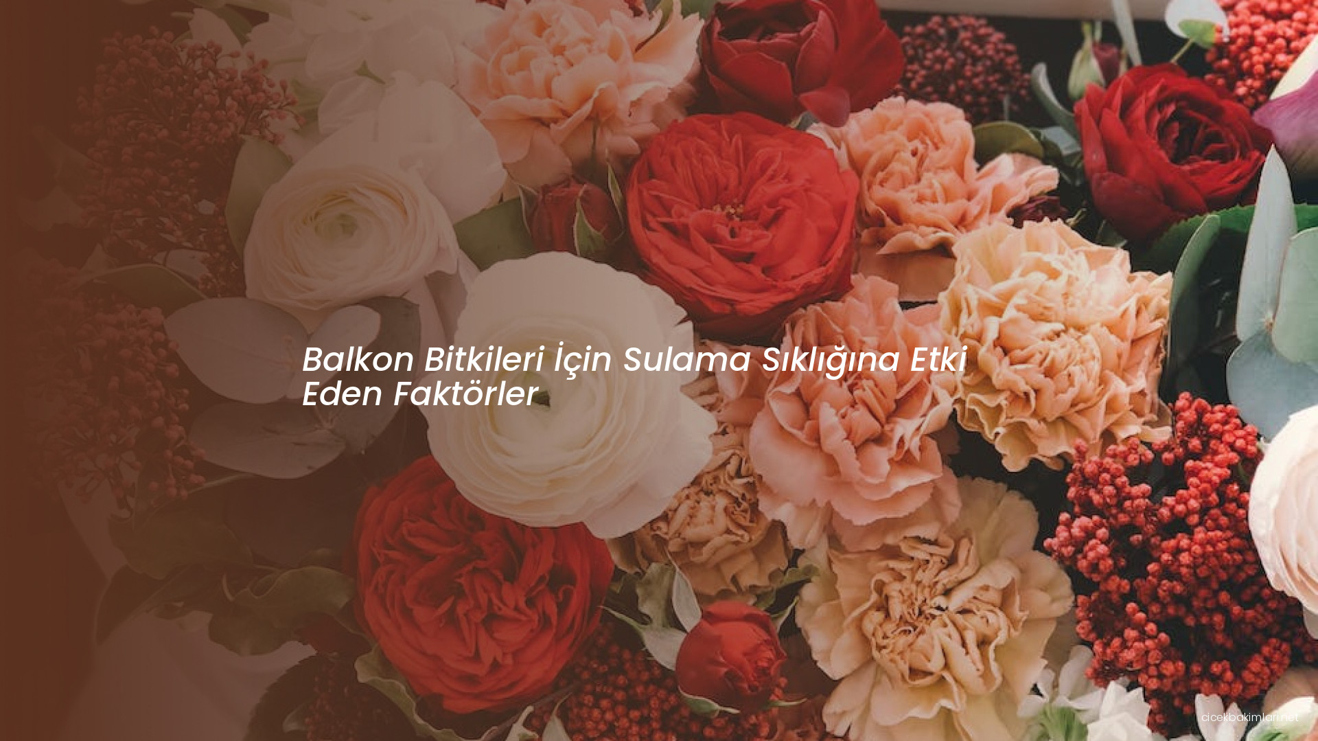 Balkon Bitkileri İçin Sulama Sıklığına Etki Eden Faktörler