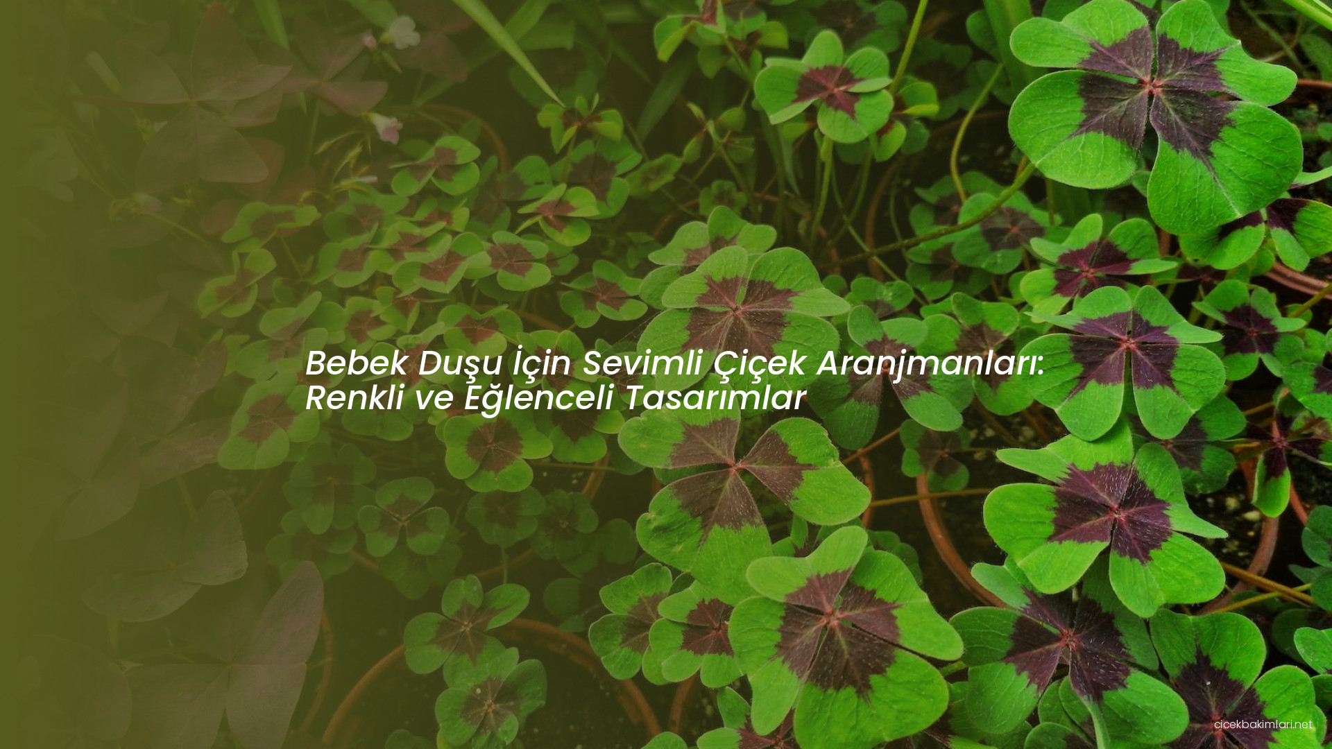 Bebek Duşu İçin Sevimli Çiçek Aranjmanları: Renkli ve Eğlenceli Tasarımlar