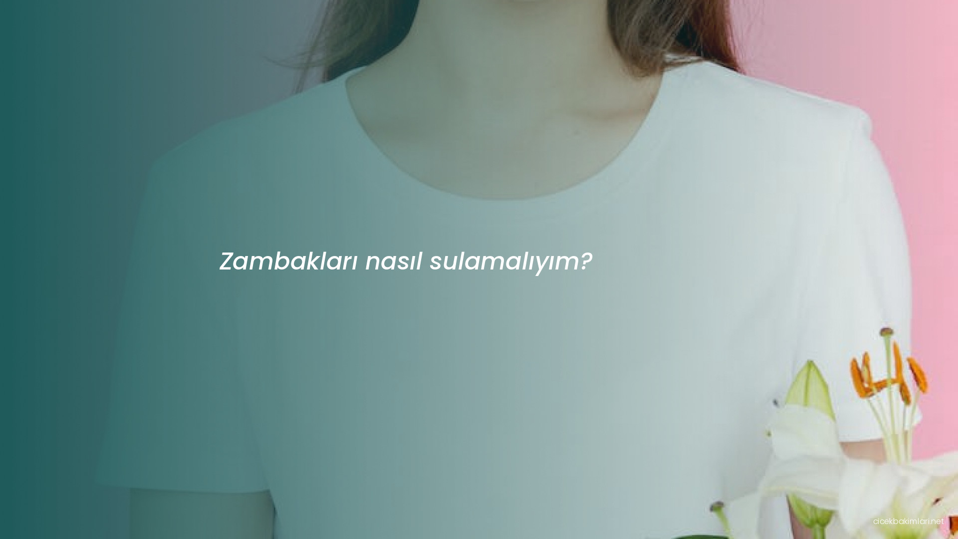 Zambakları nasıl sulamalıyım?