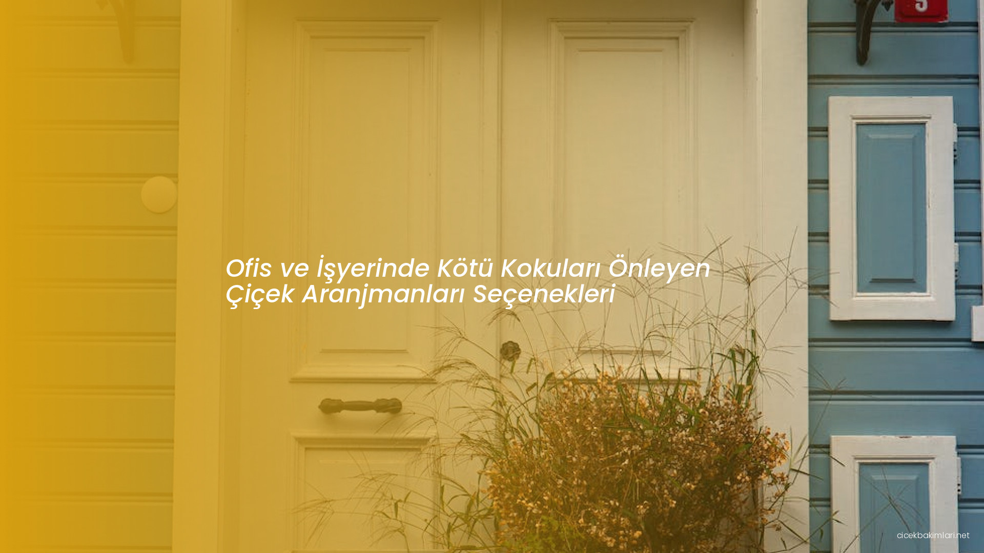 Ofis ve İşyerinde Kötü Kokuları Önleyen Çiçek Aranjmanları Seçenekleri