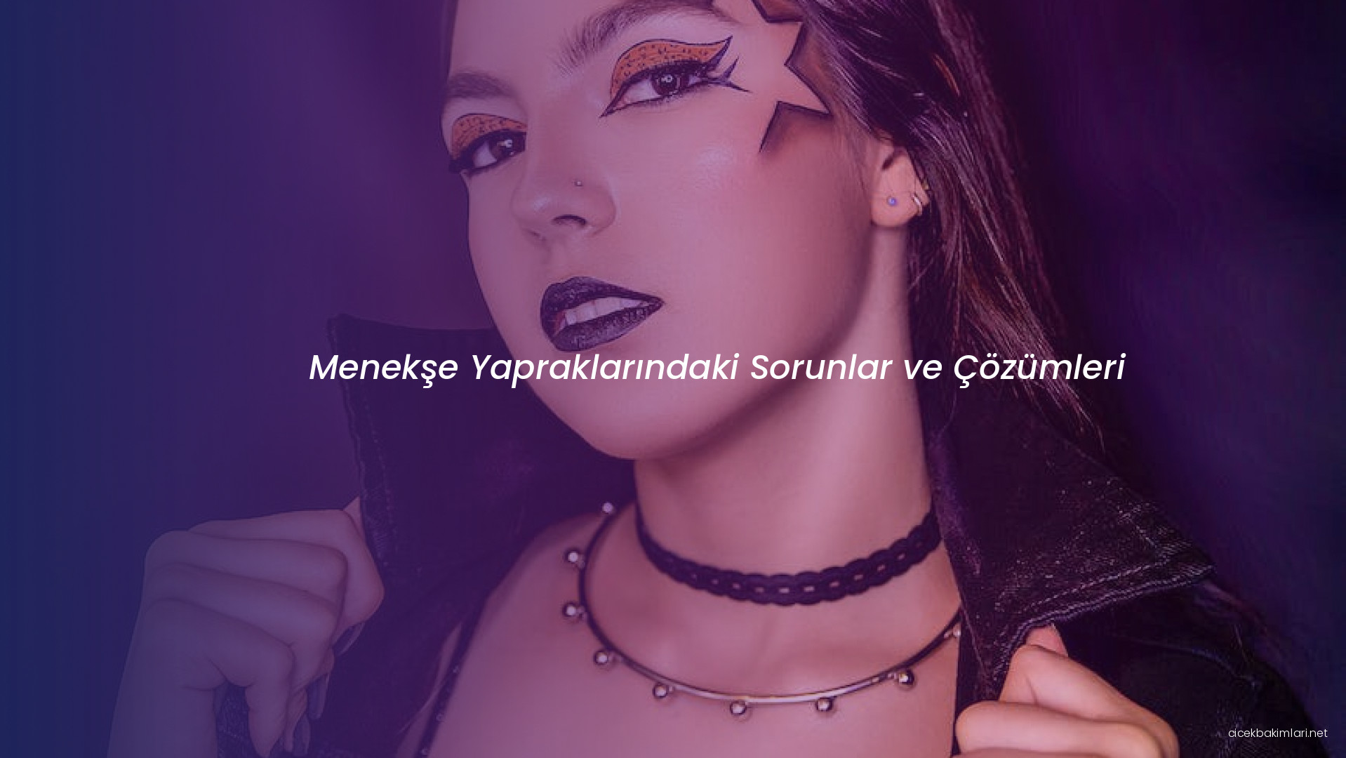 Menekşe Yapraklarındaki Sorunlar ve Çözümleri