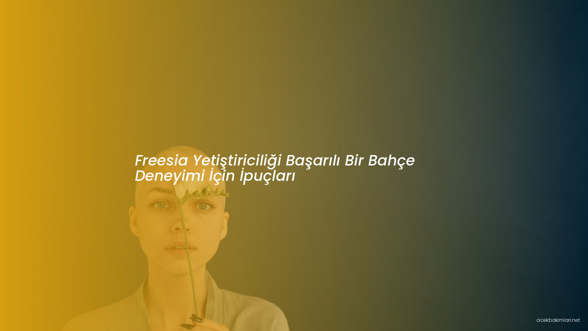 Freesia Yetiştiriciliği Başarılı Bir Bahçe Deneyimi İçin İpuçları