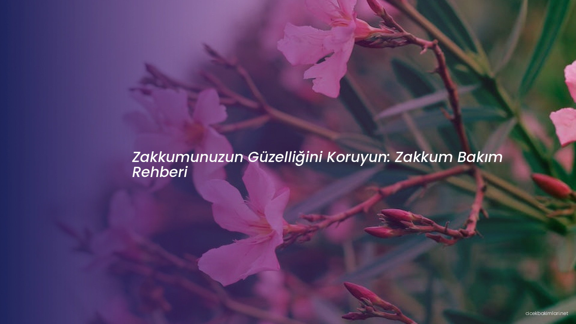 Zakkumunuzun Güzelliğini Koruyun: Zakkum Bakım Rehberi