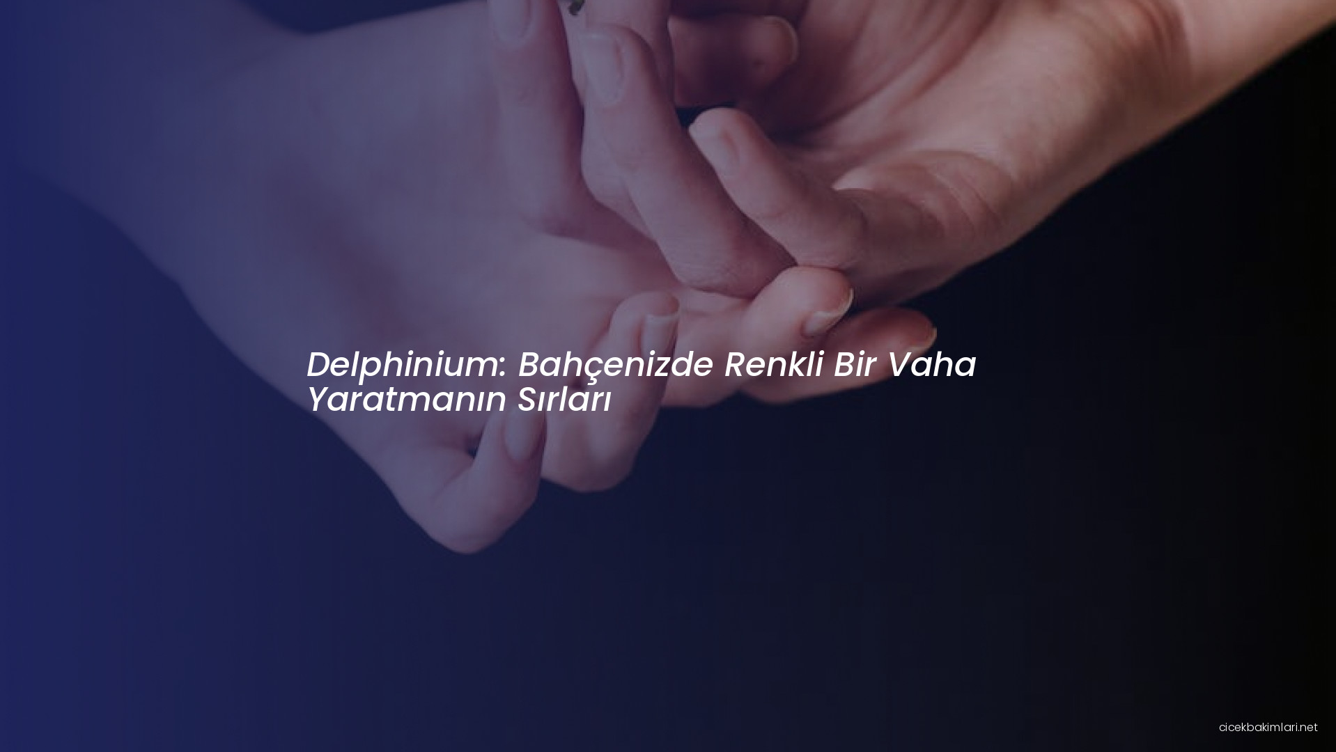 Delphinium: Bahçenizde Renkli Bir Vaha Yaratmanın Sırları