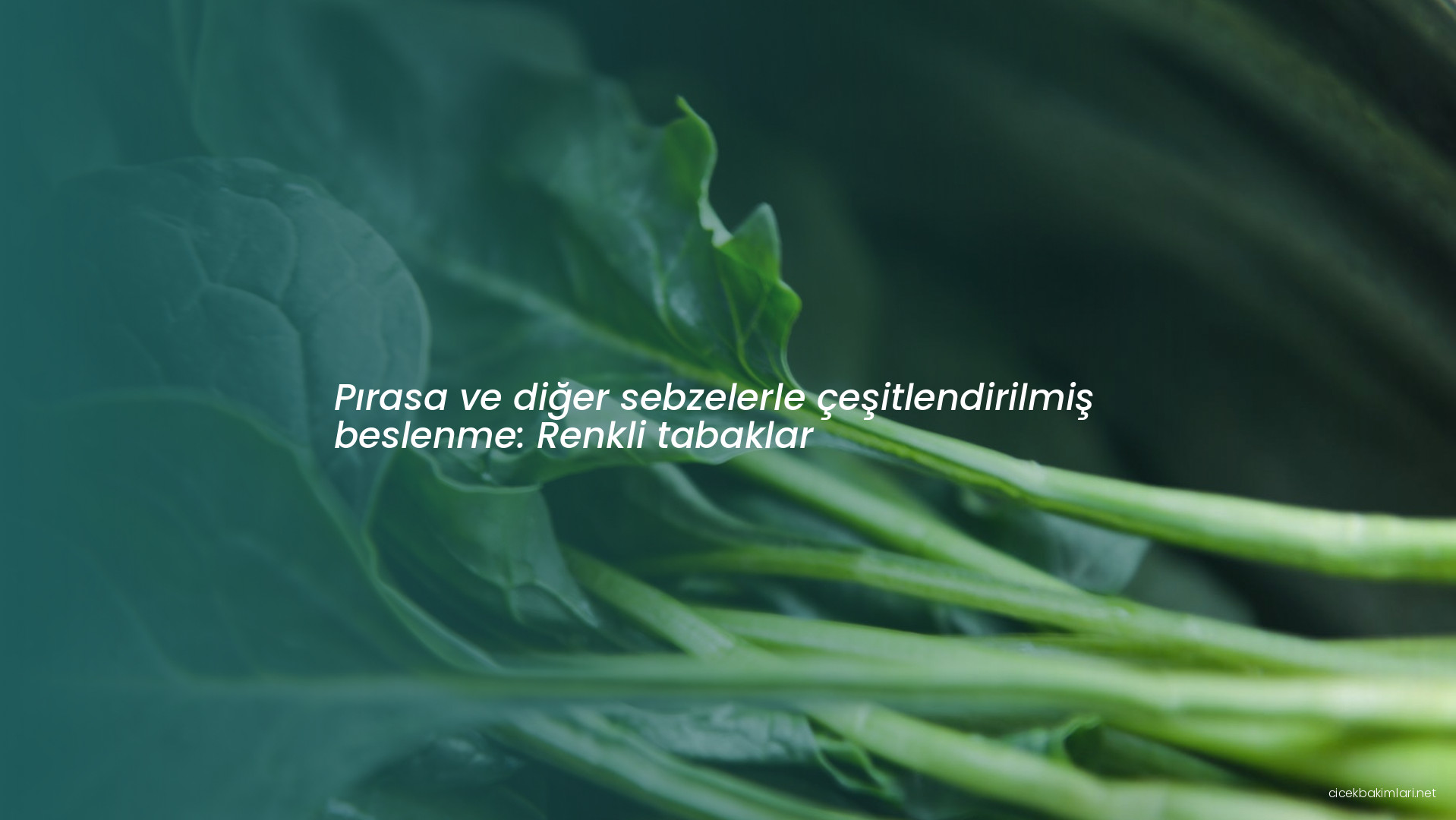 Pırasa ve diğer sebzelerle çeşitlendirilmiş beslenme: Renkli tabaklar